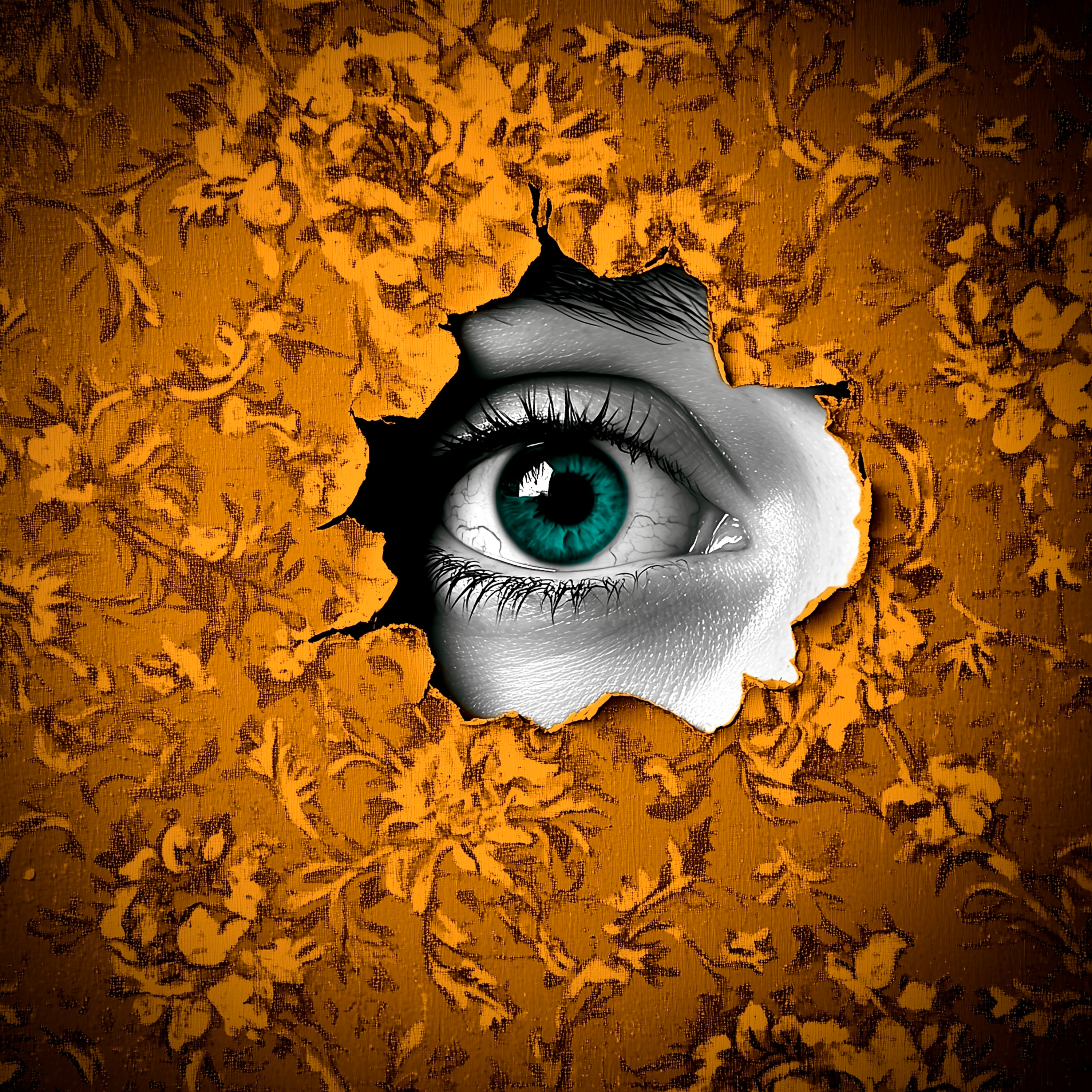 9. The Wall Between Us