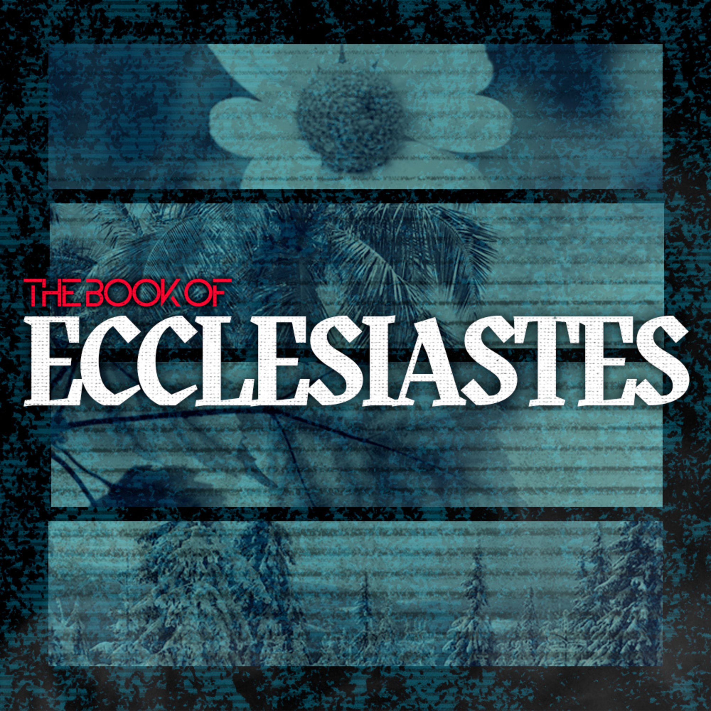 Ecclesiastes 3 (2023) - In His Time episode artwork