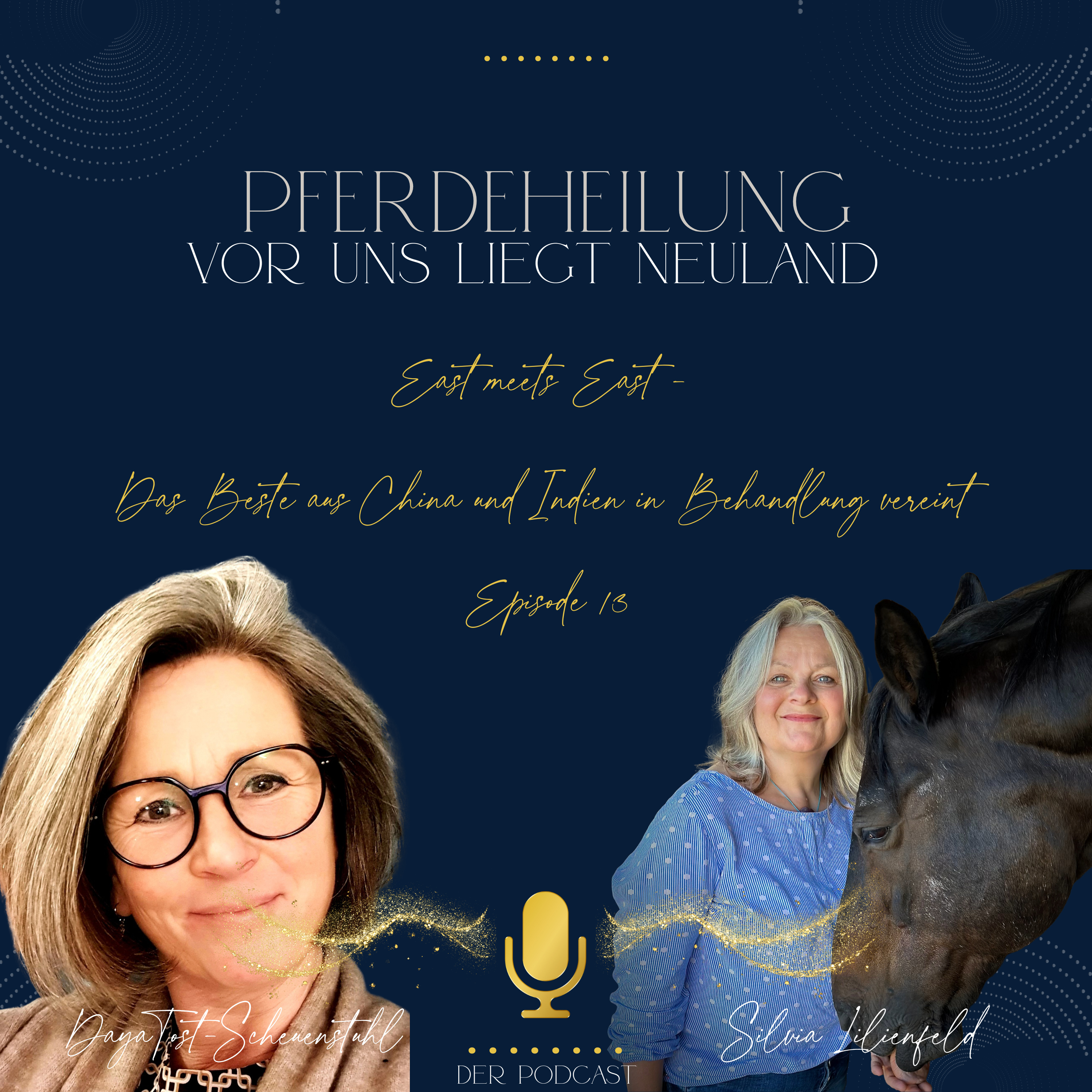 Pferdeheilung - Vor uns liegt Neuland