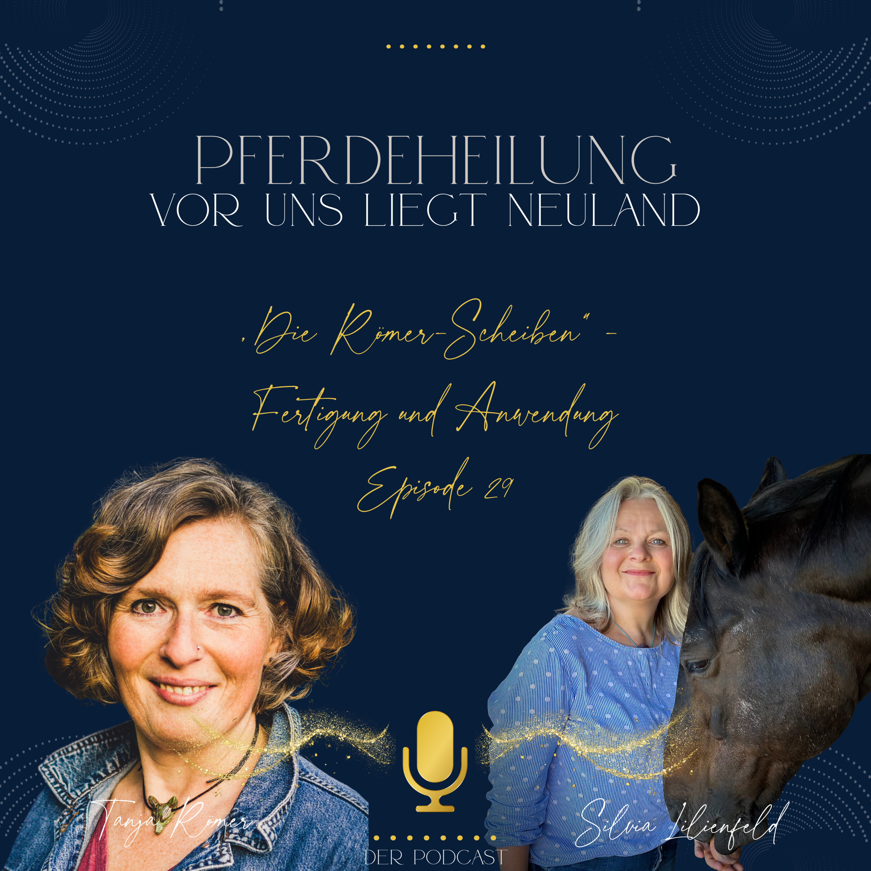 Pferdeheilung - Vor uns liegt Neuland