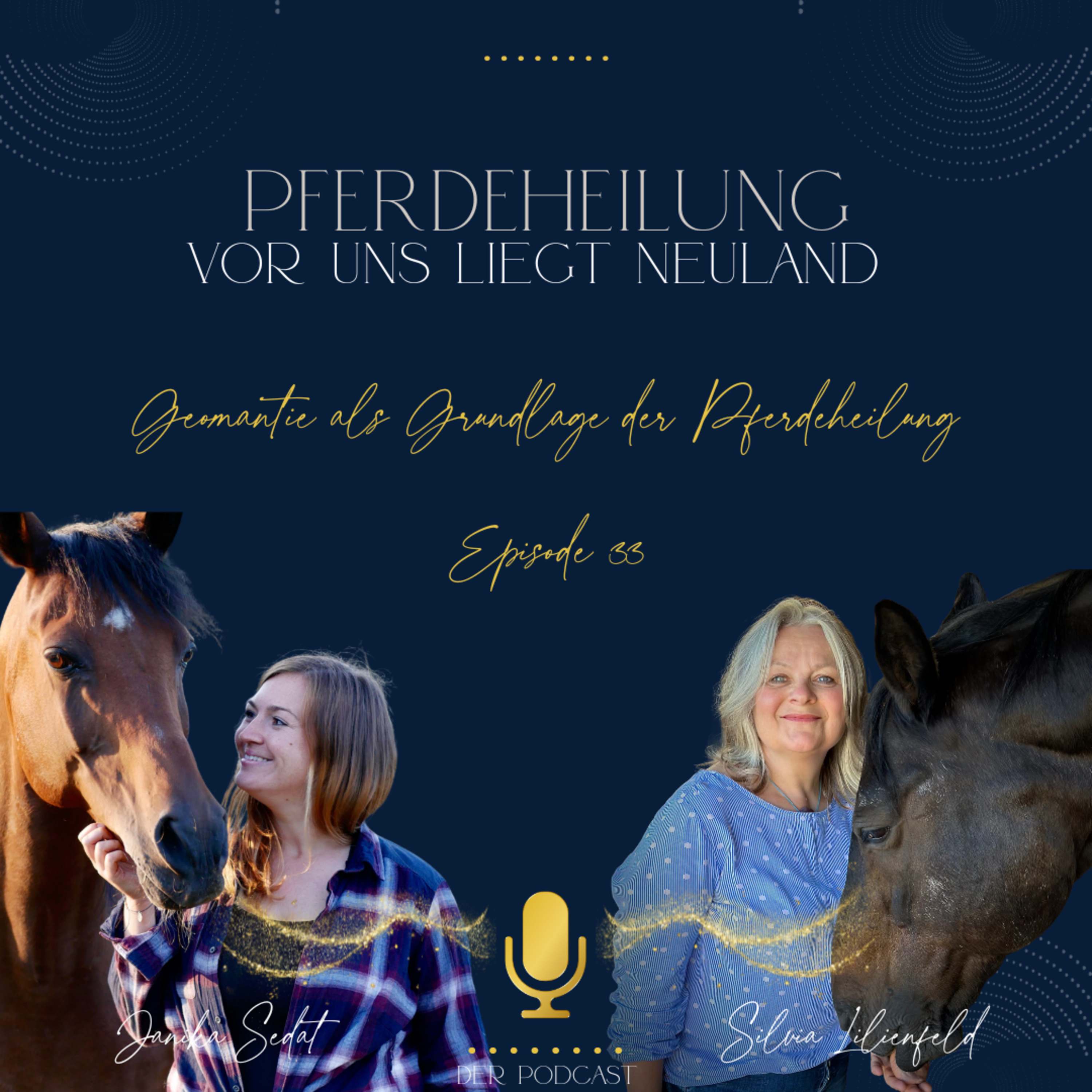 Pferdeheilung - Vor uns liegt Neuland