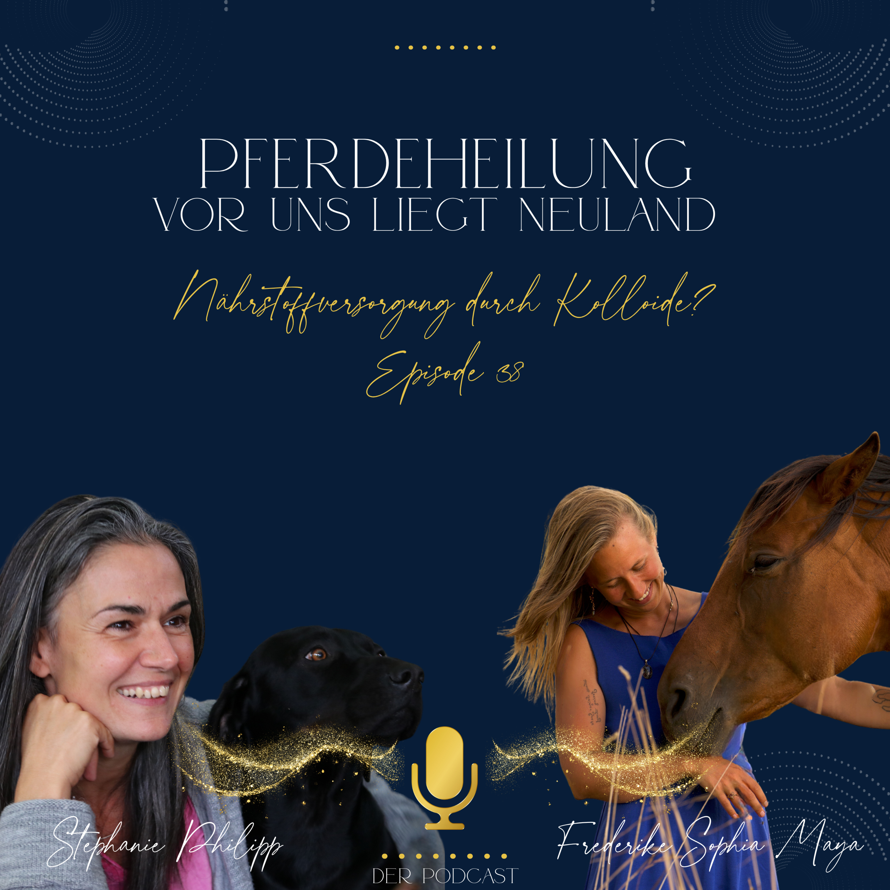 Pferdeheilung - Vor uns liegt Neuland