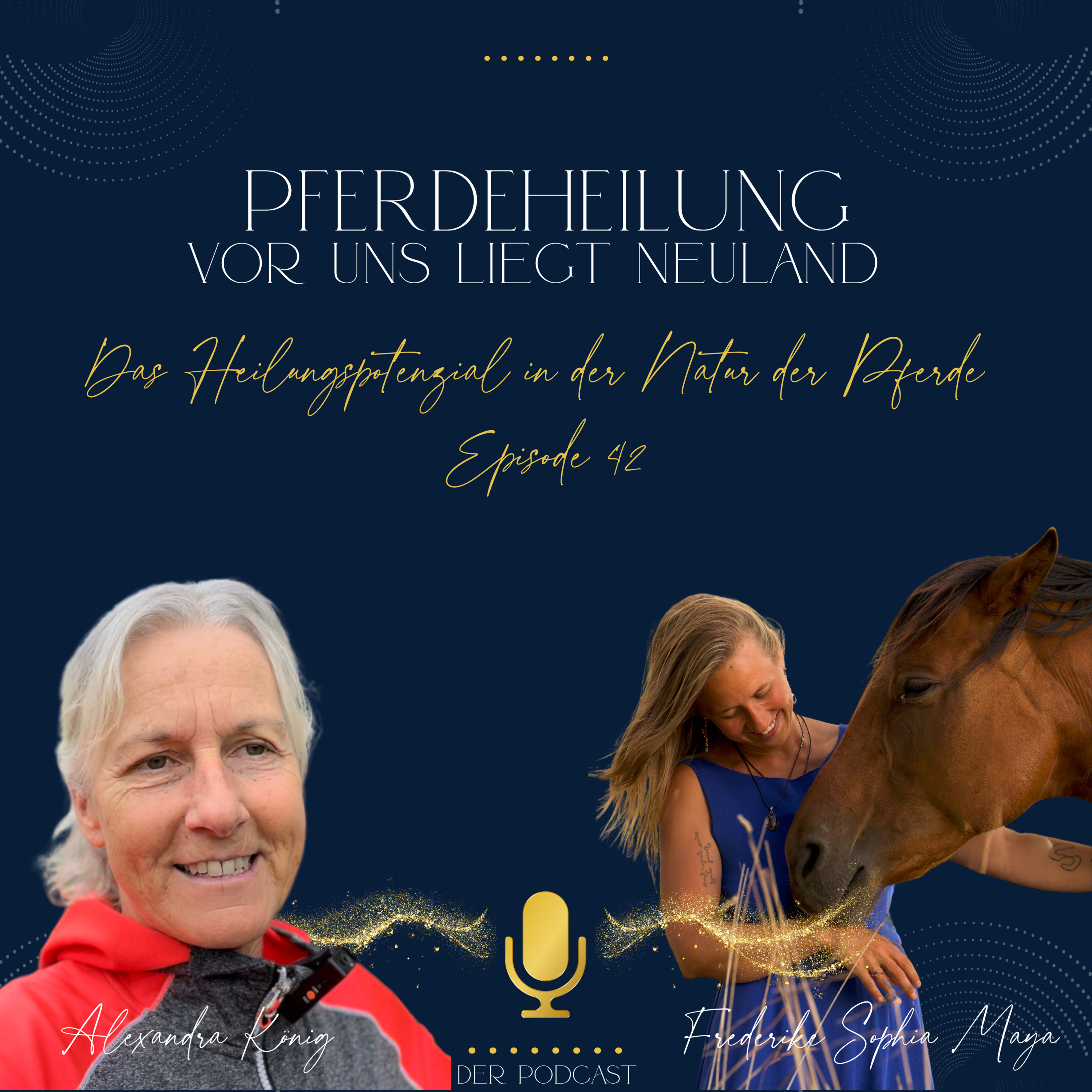 Pferdeheilung - Vor uns liegt Neuland