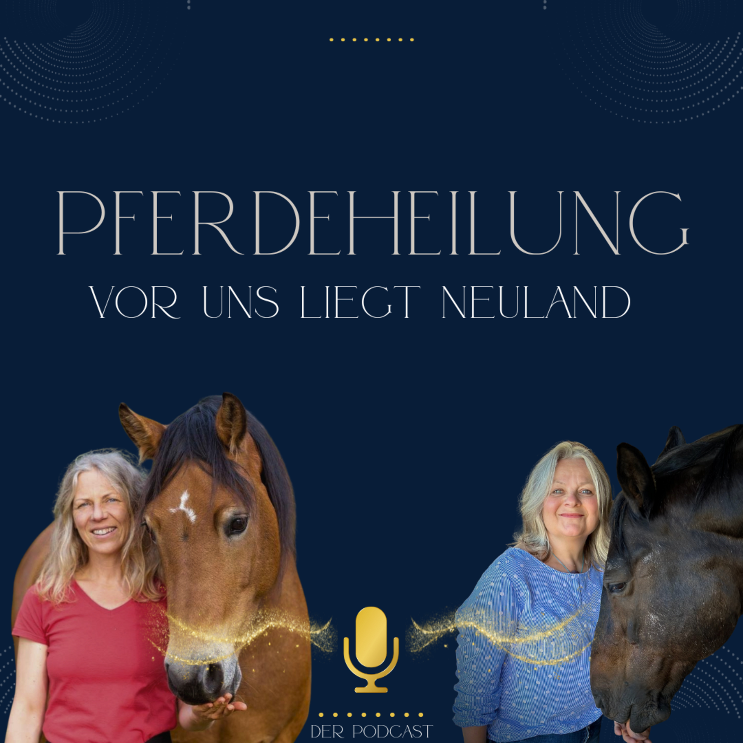 Pferdeheilung - Vor uns liegt Neuland