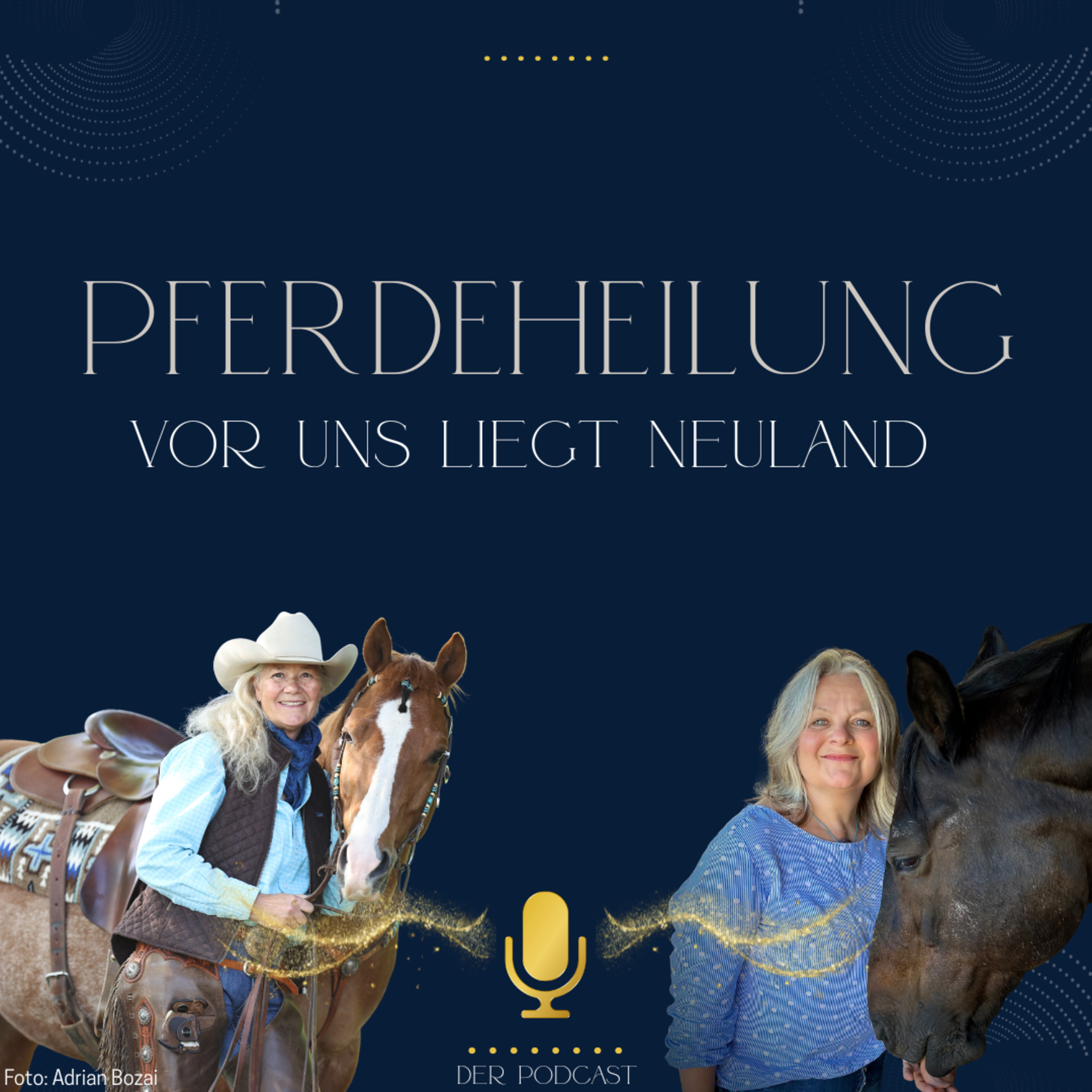 Westernreiten mit Herz und Verstand | Ute Holm-Schäuble und Silvia episode artwork