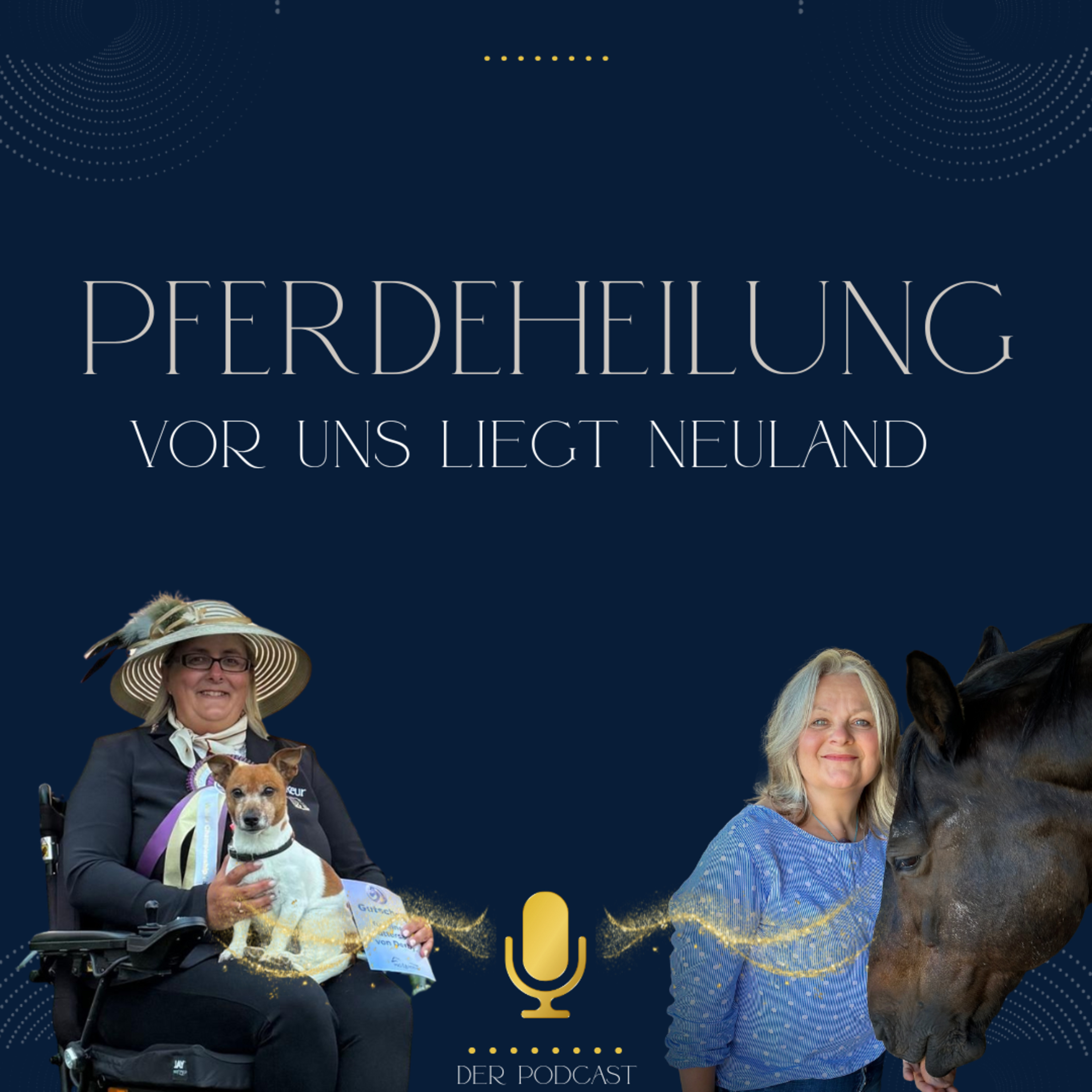 Haflinger Fahrsport Teil 2 | Ivonne Hellenbrand und Silvia episode artwork