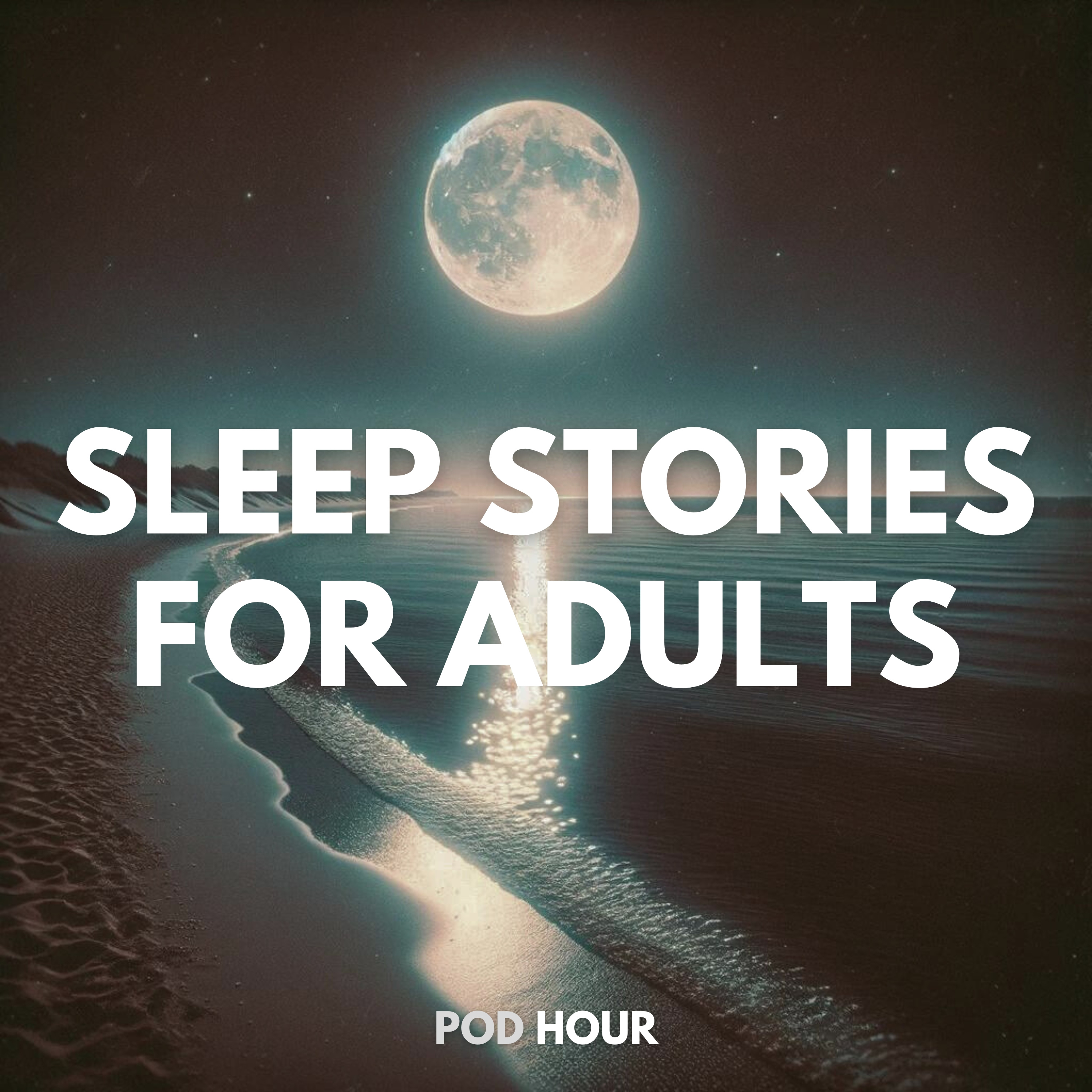 Nocturnal Whispers of the Sea • Sleep Stories for Adults  episode artwork