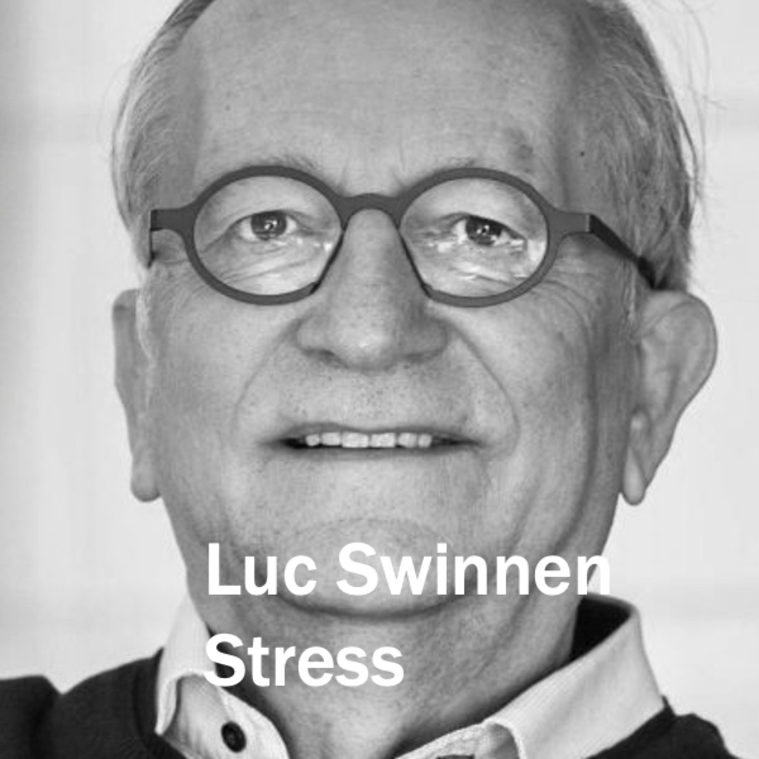 Stress met Luc Swinnen episode artwork