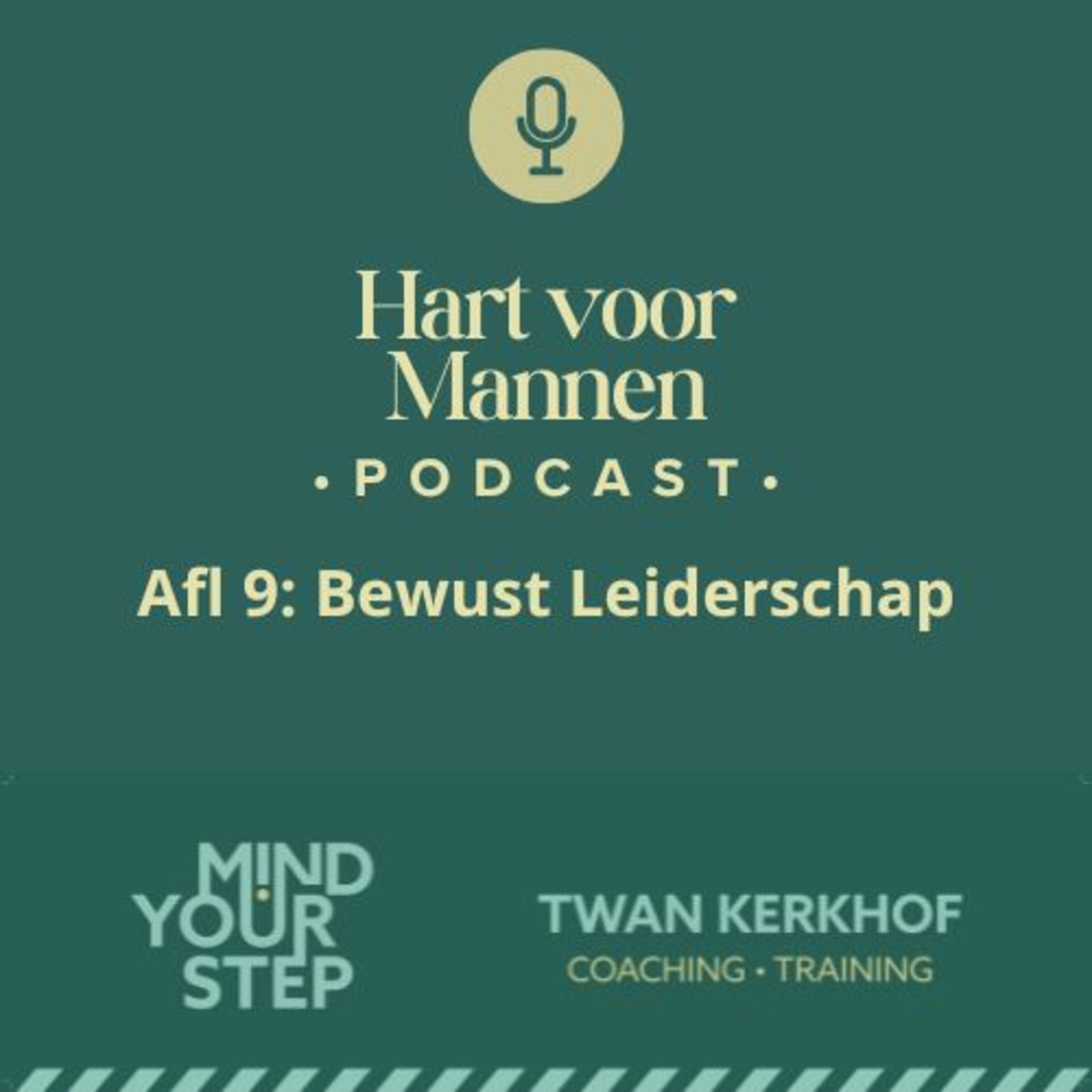 Bewust Leiderschap - Leiding nemen over je leven episode artwork