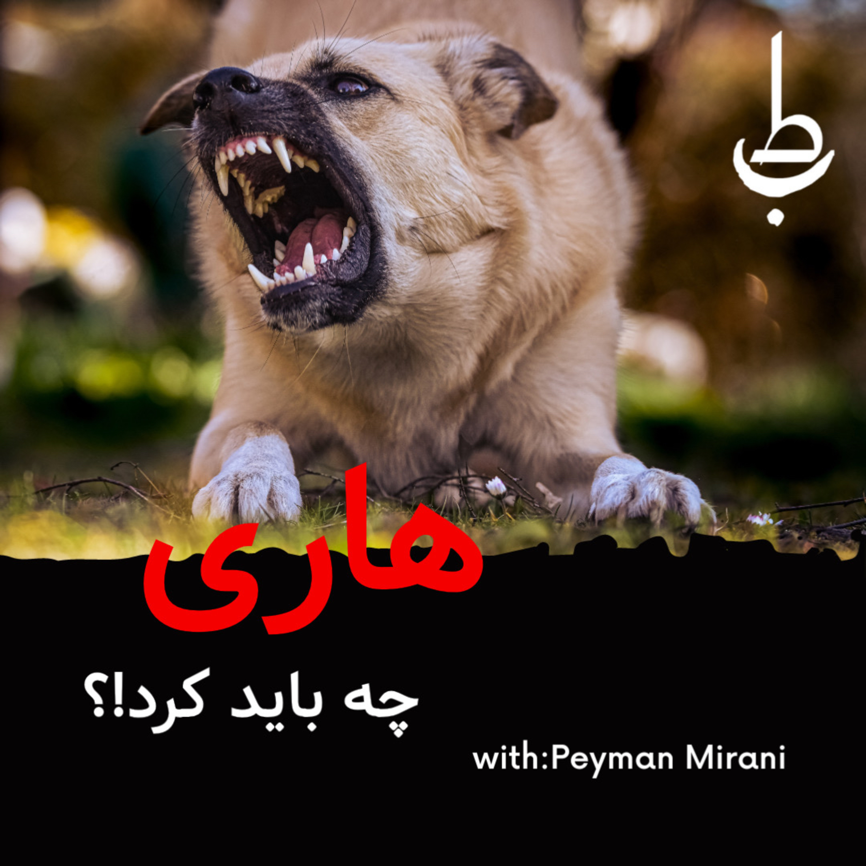 کاور هاری،چه باید کرد؟