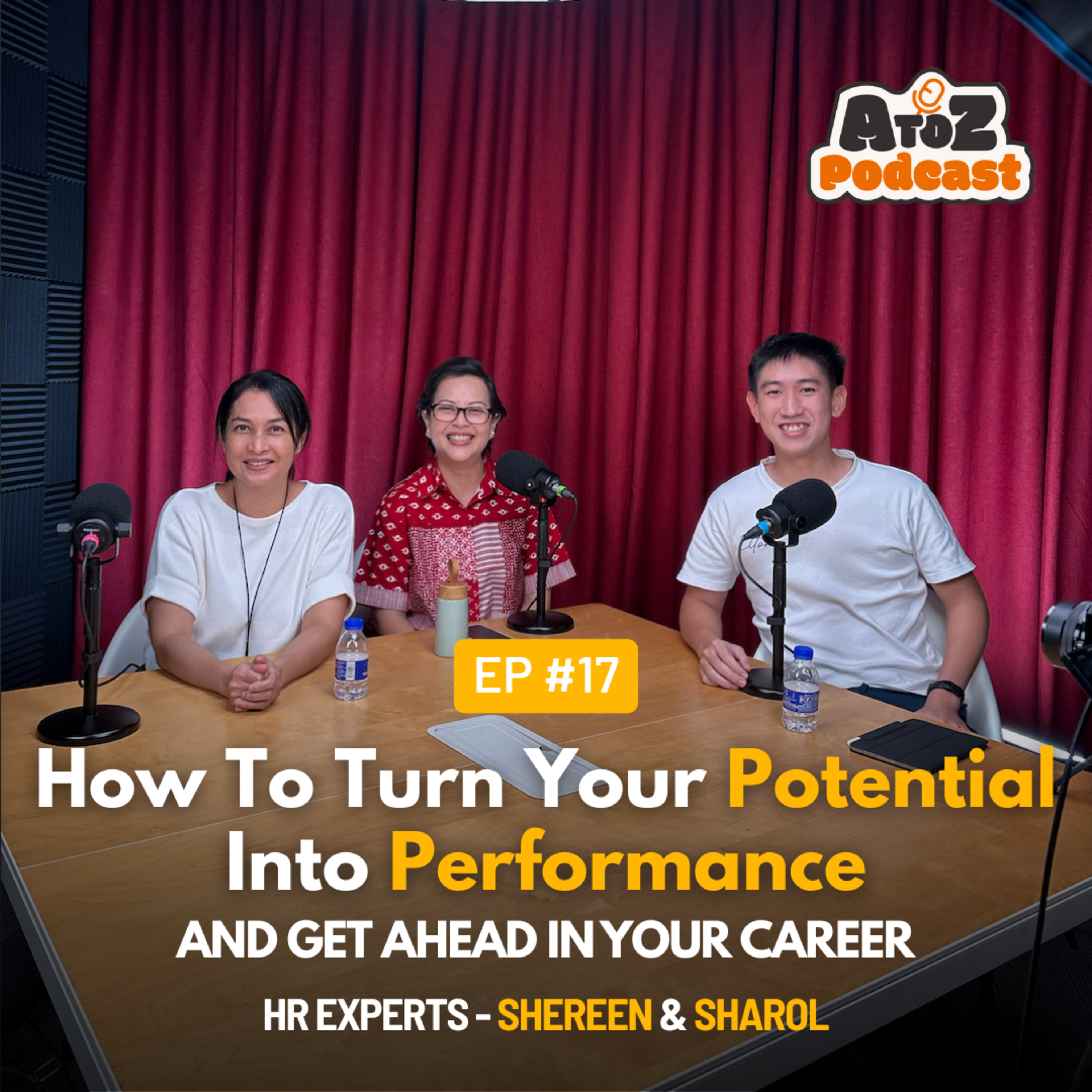 How To Turn Your Potential Into Performance and Get Ahead in Your Career with HR Experts #17