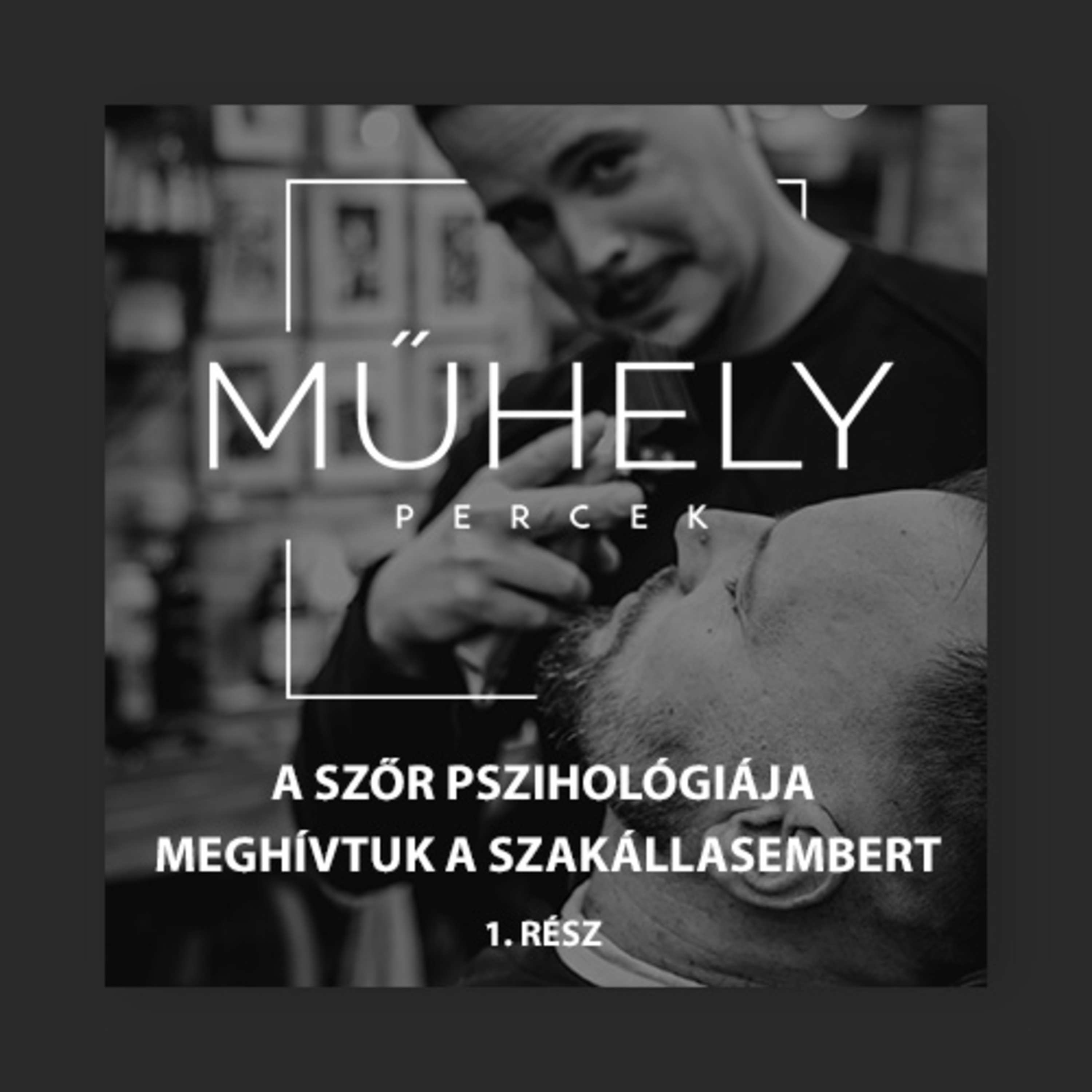 A szőr pszichológiája - Meghívtuk a Szakállasembert 1. rész episode artwork