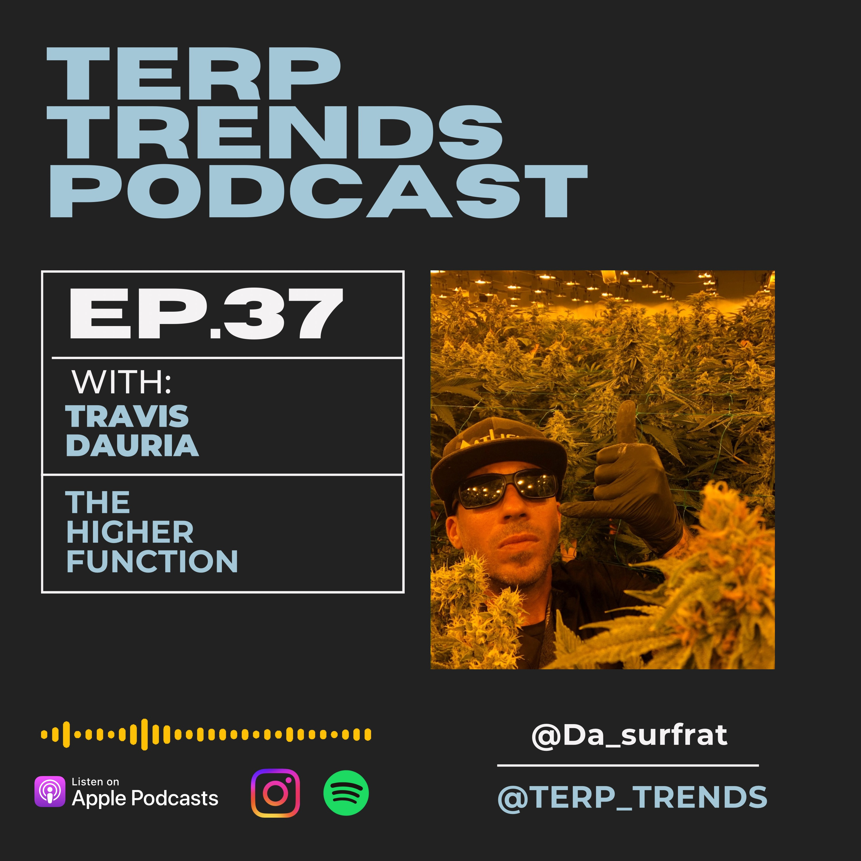 Travis Dauria - The Higher Function  episode artwork