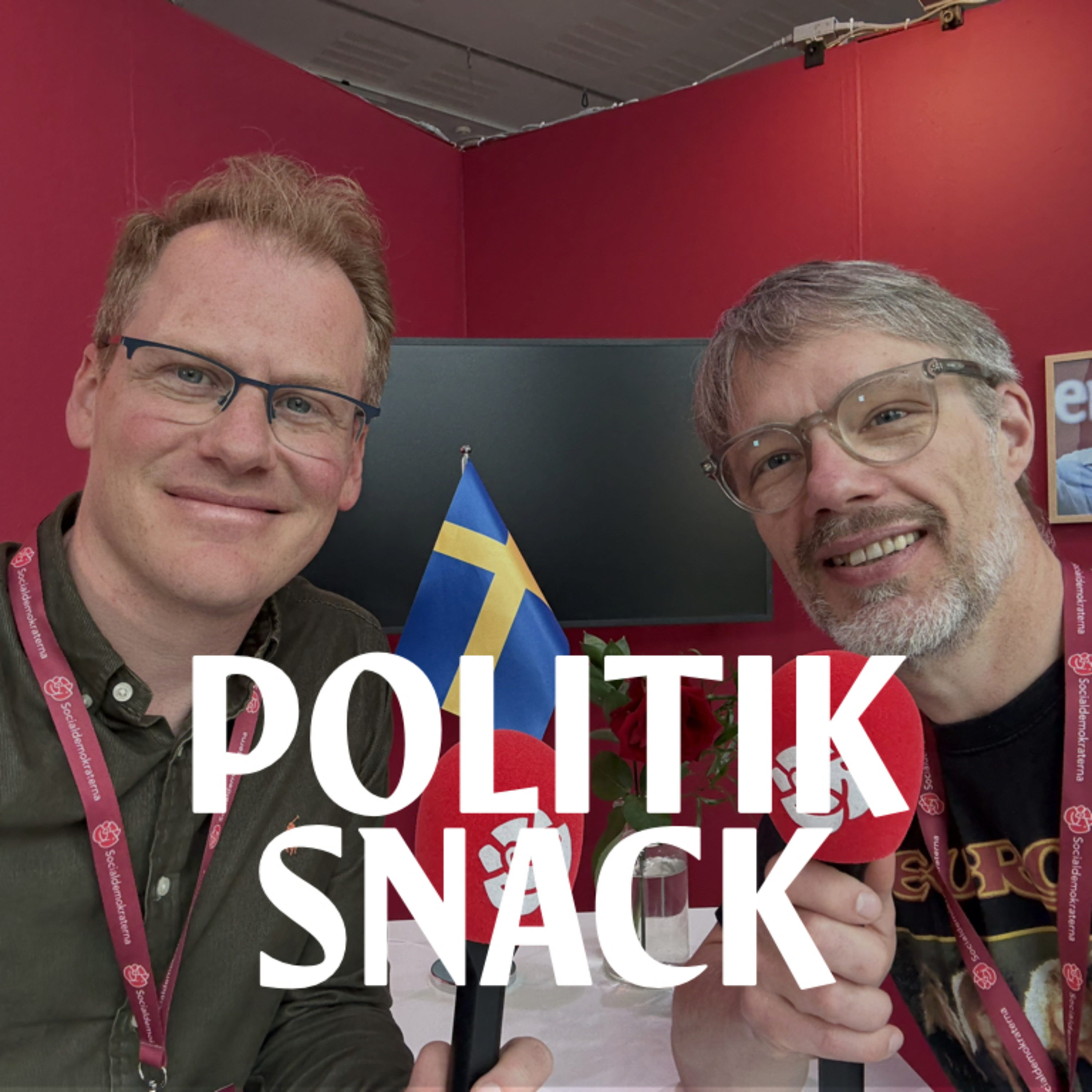 Politiksnack