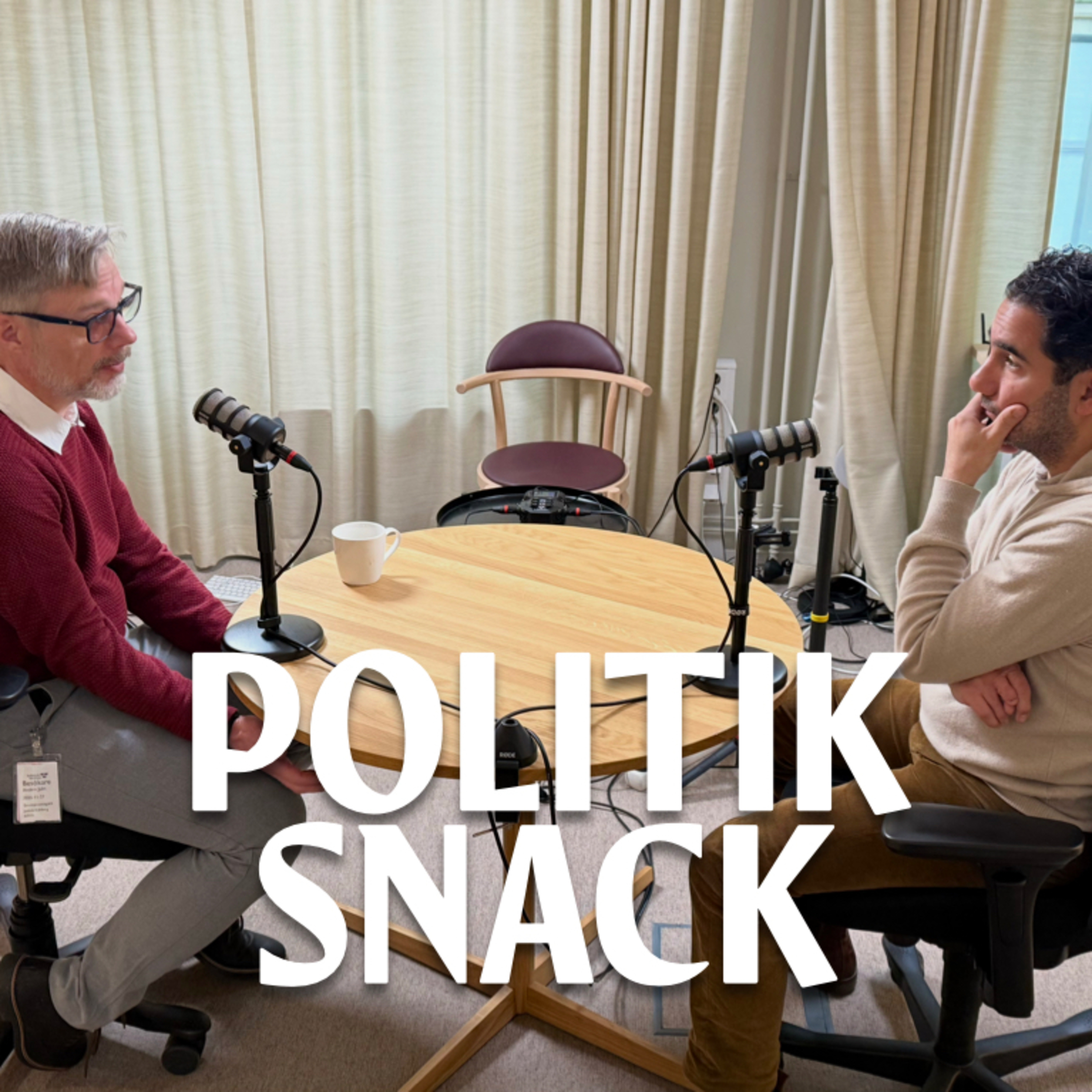 Politiksnack