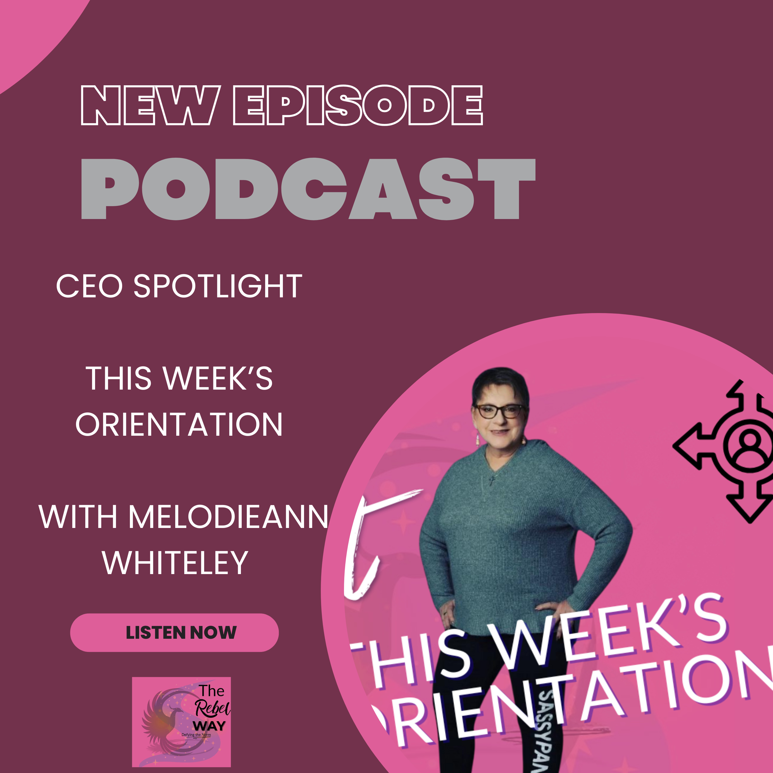 CEO Spotlight: This Week's Orientation - The Pause Before the Plan episode artwork