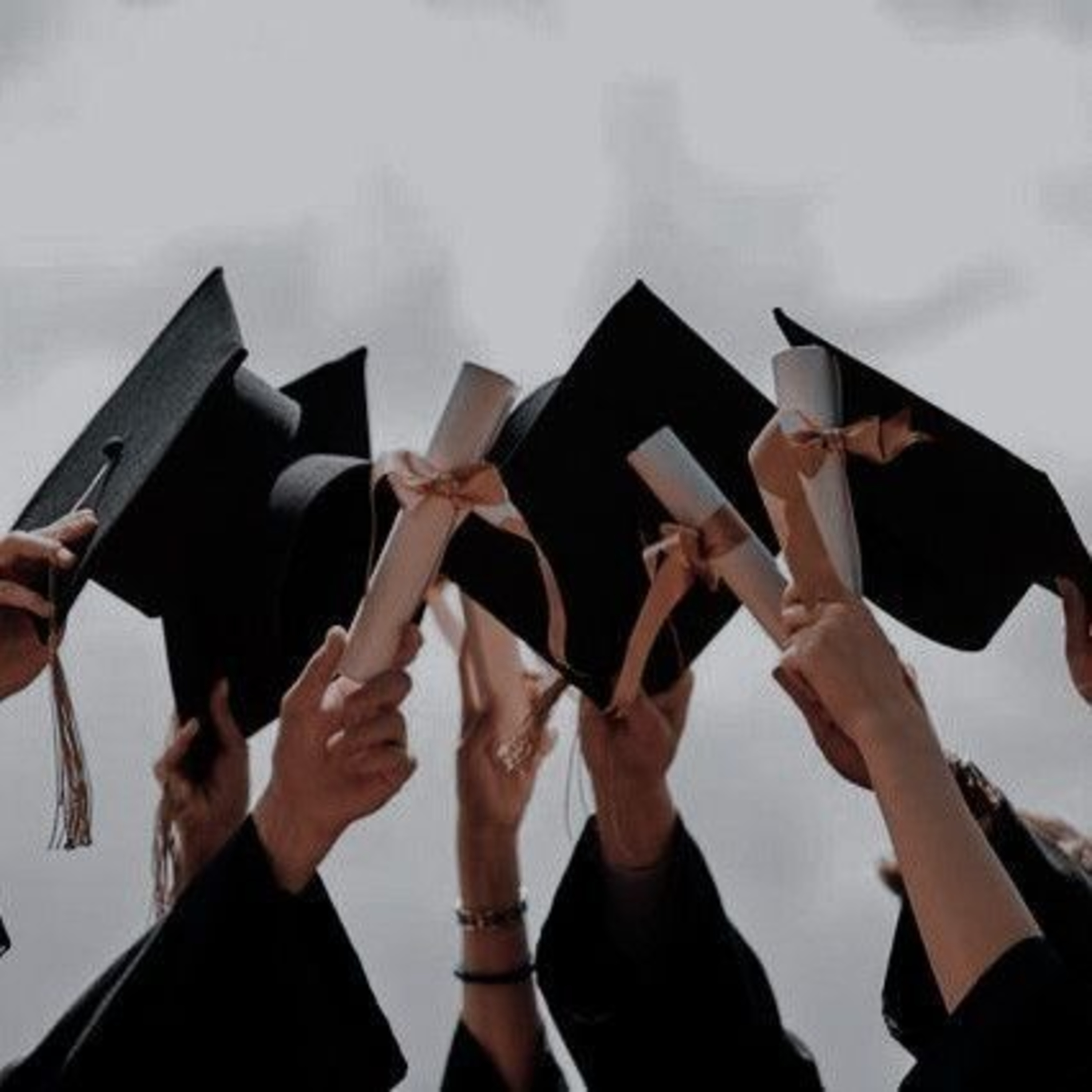 introduction + the transition between high school and university episode artwork