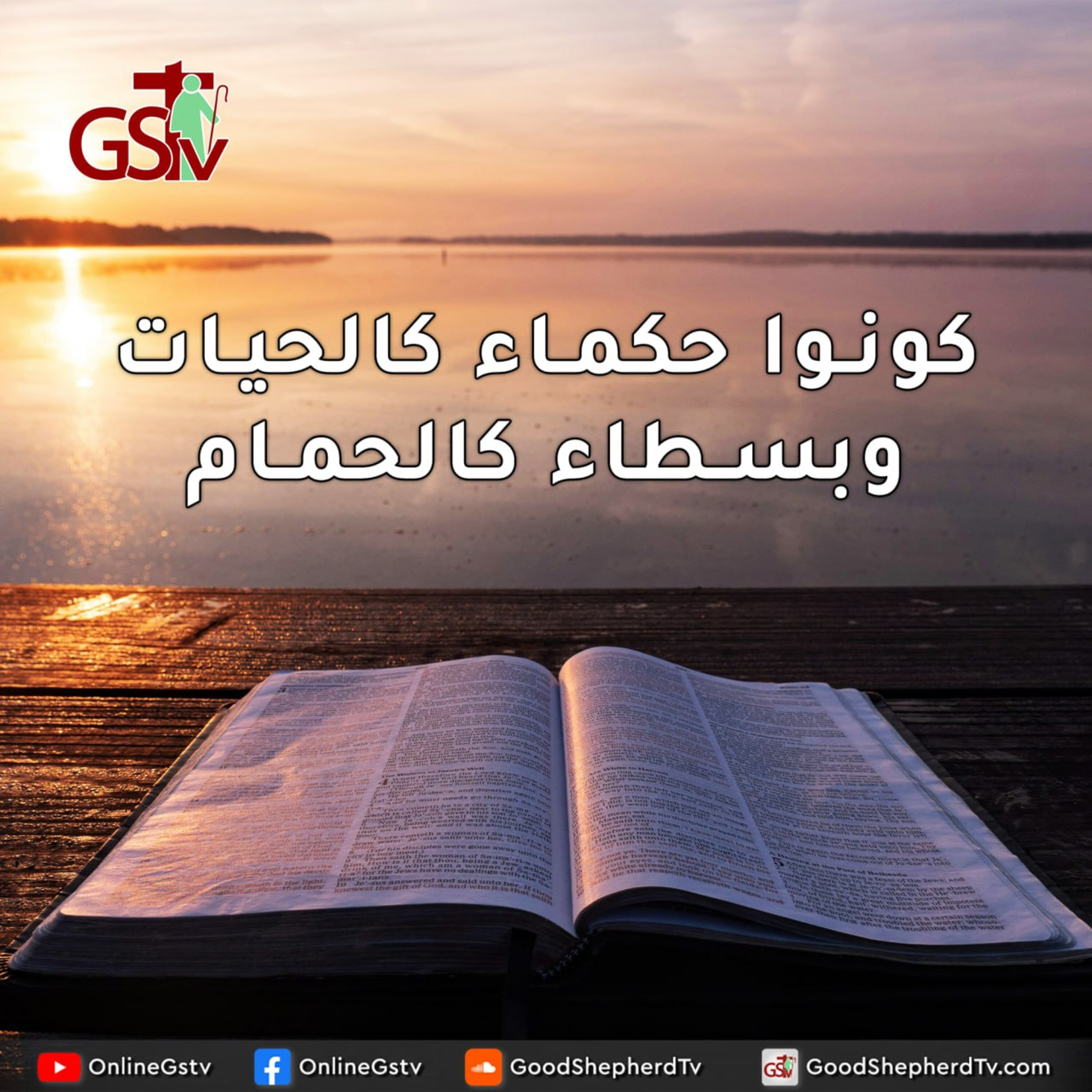 كونوا حكماء كالحيات وبسطاء كالحمام - خبزنا اليومي