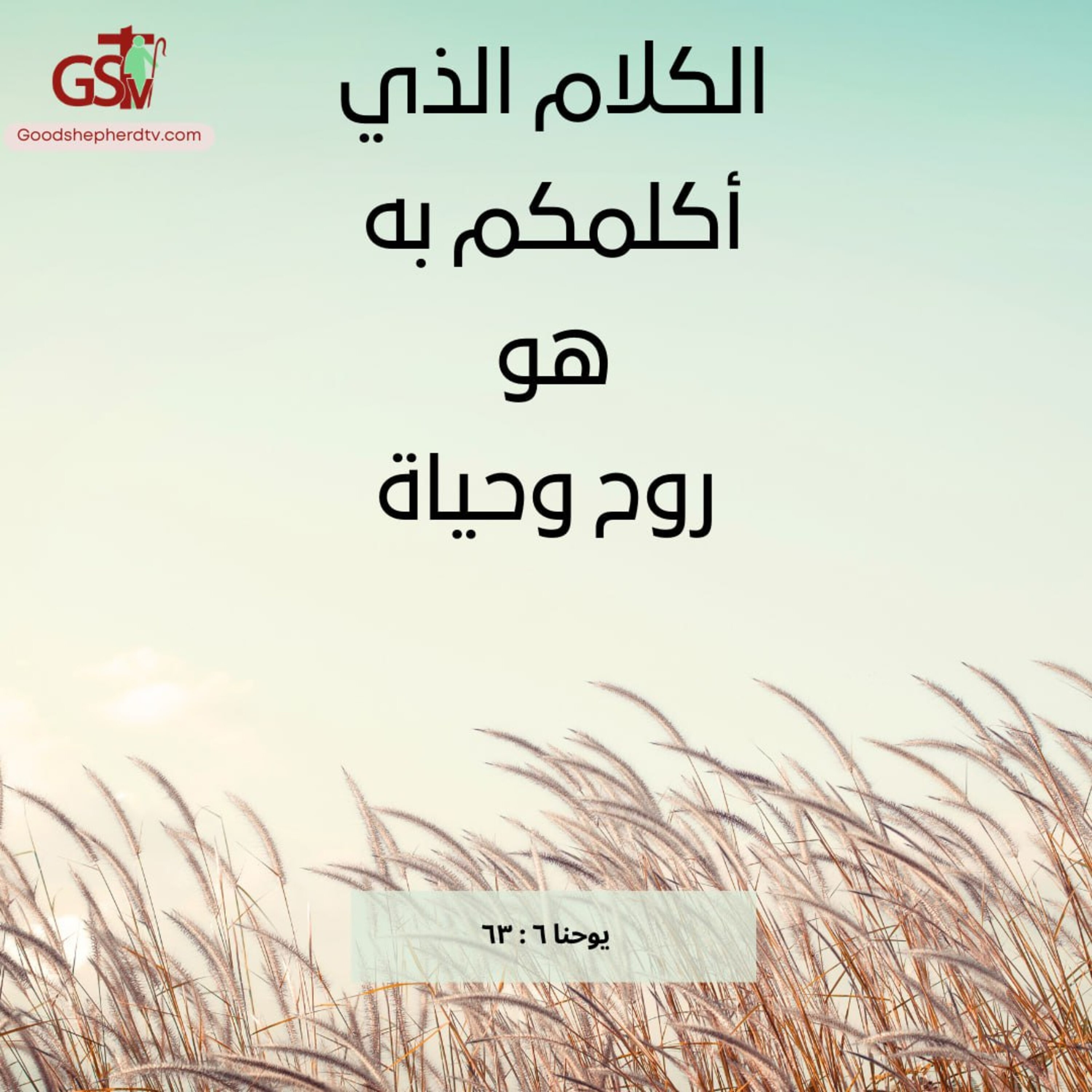 كيف تتحول كلمة الله إلى قوة تغيير ؟ - خبزنا اليومي episode artwork