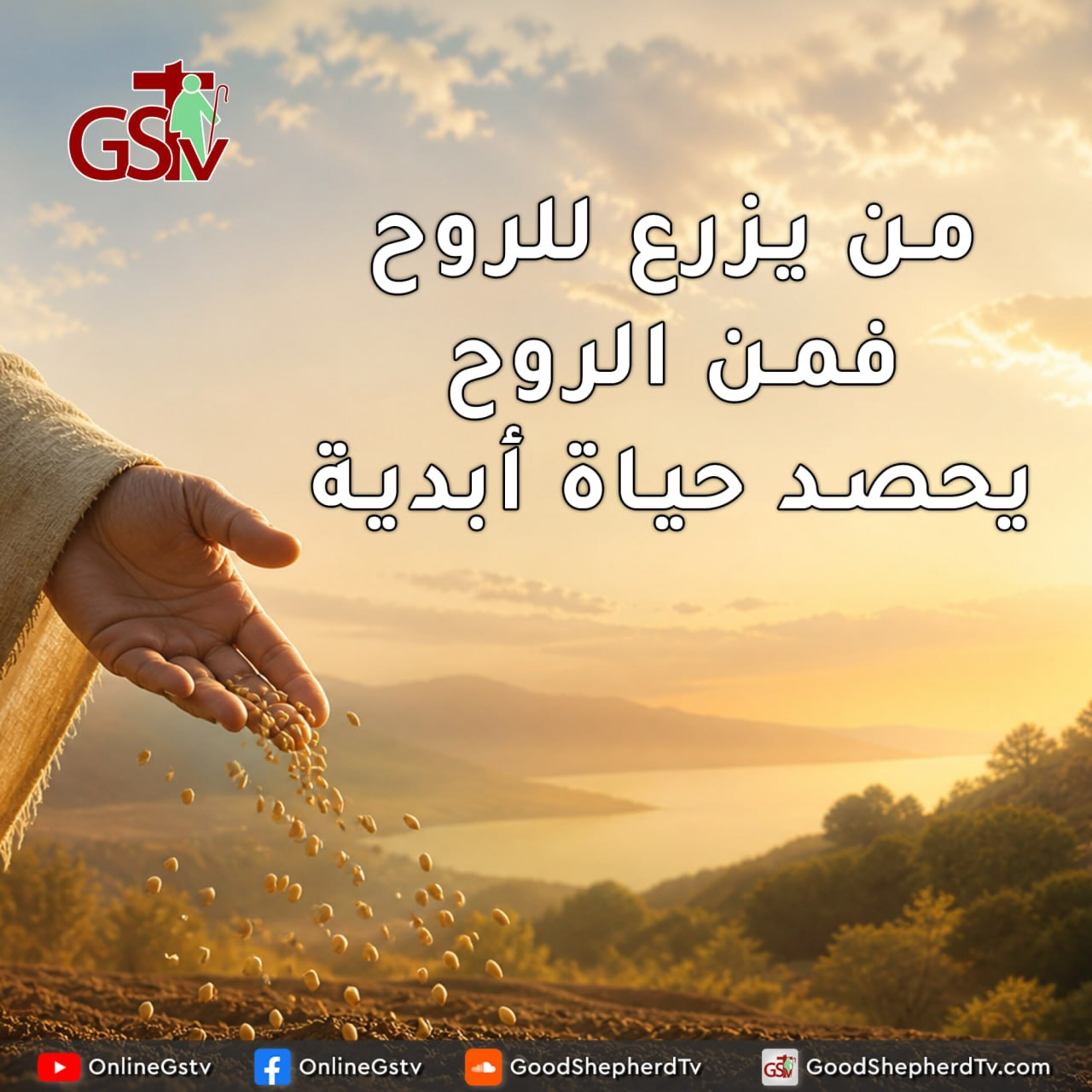 من يزرع للروح فمن الروح يحصد حياة أبدية - خبزنا اليومي episode artwork