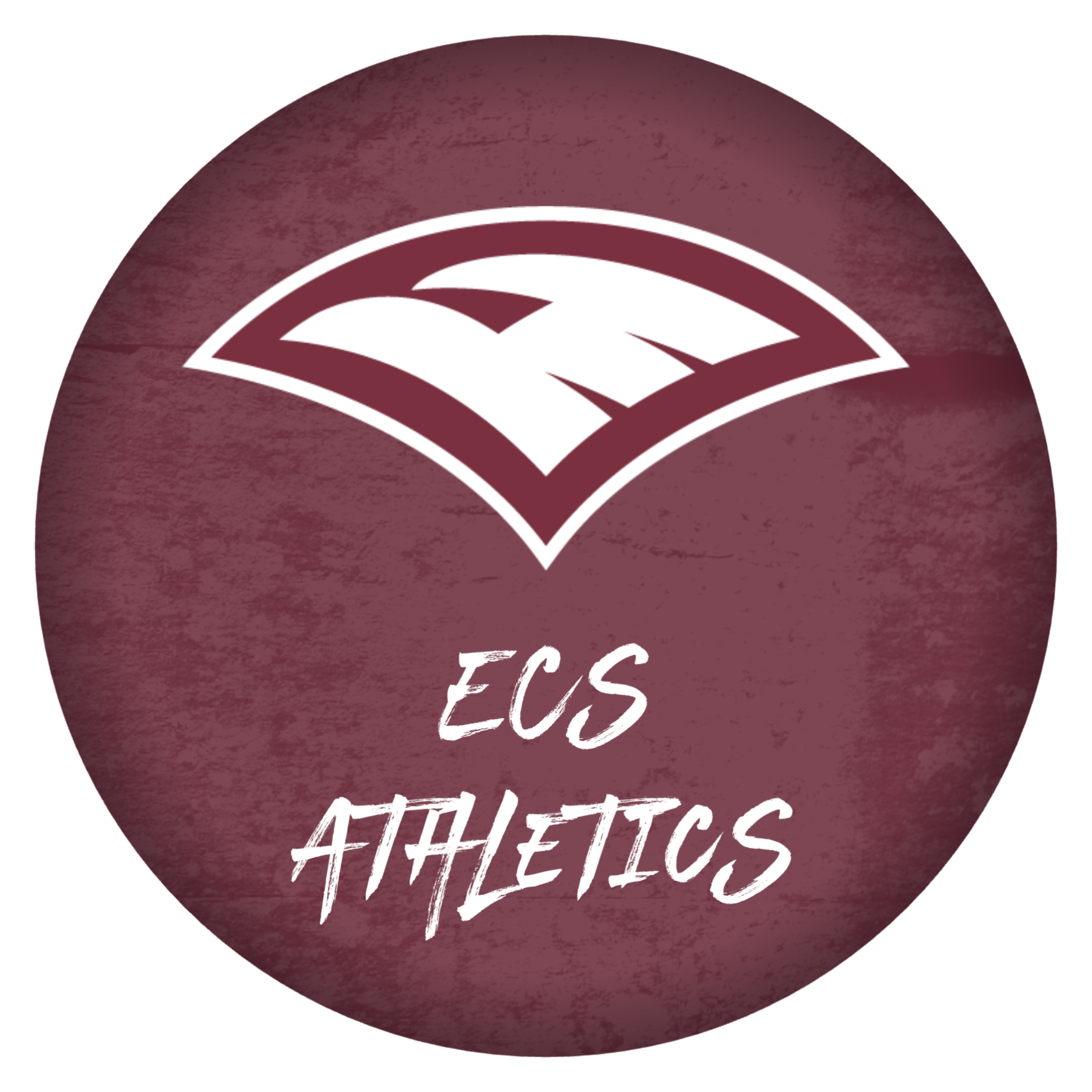 Episode 1: Coach Tim Wise episode artwork
