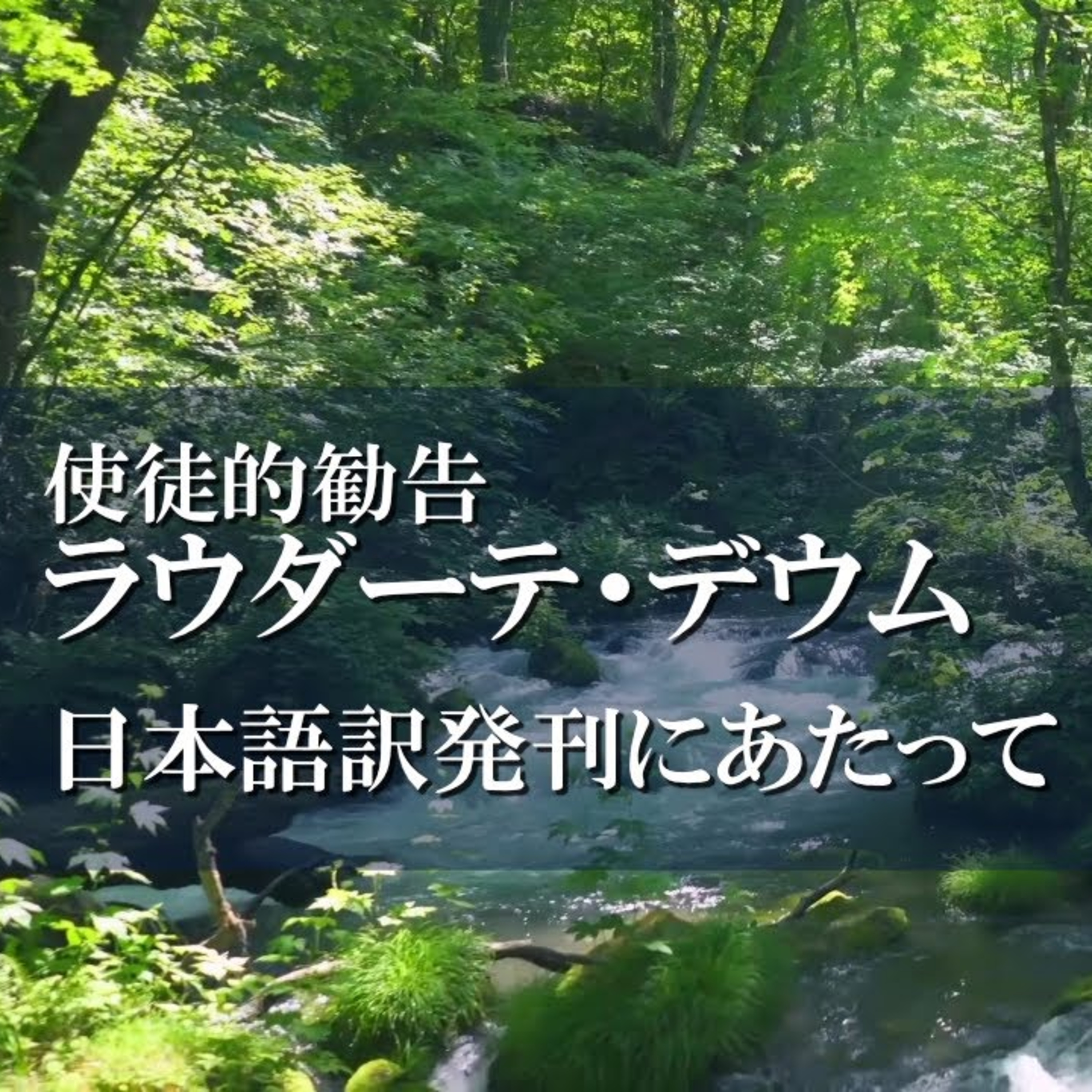 使徒的勧告『ラウダーテ・デウム』日本語訳発刊にあたって episode artwork