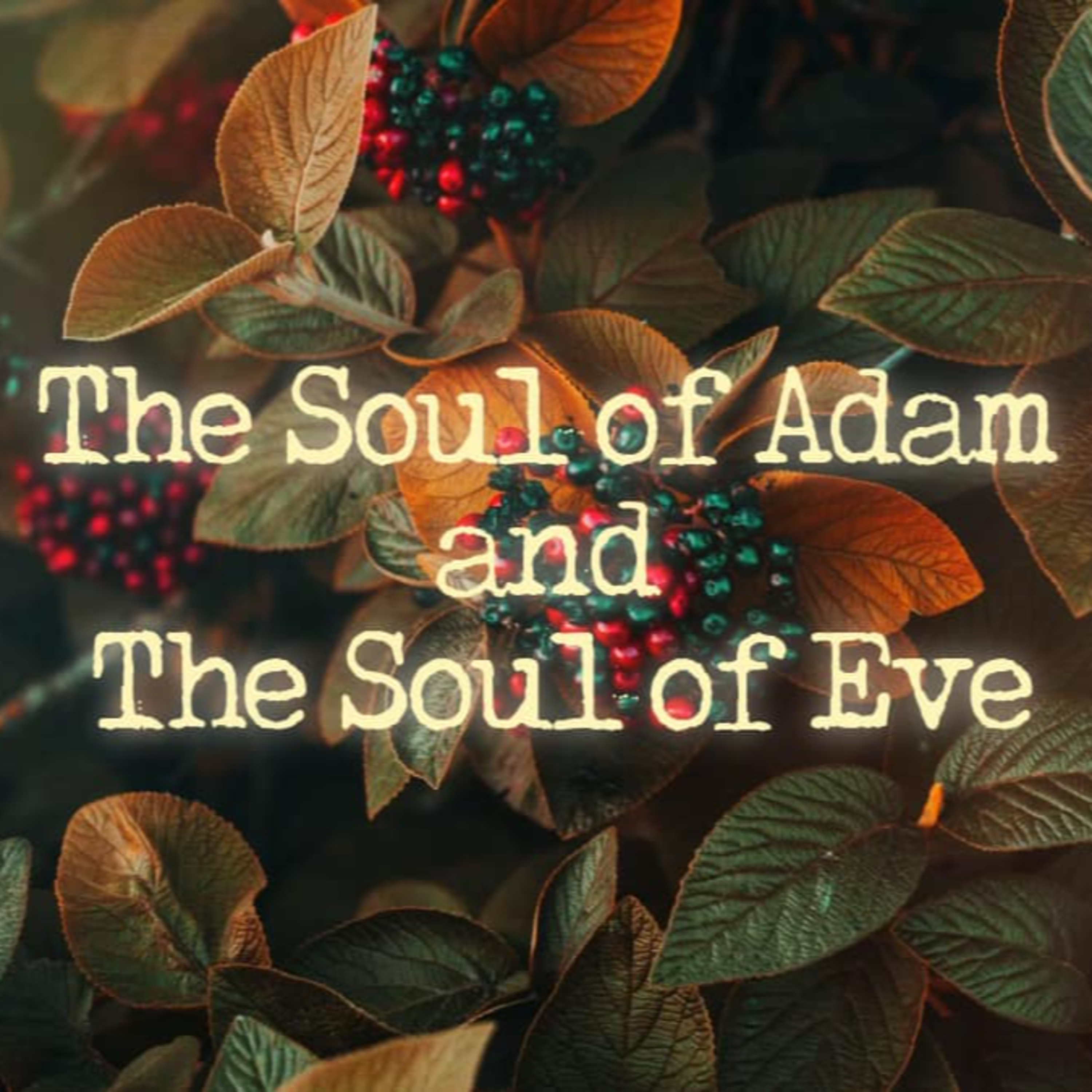 Sunday May 12th - The Soul of Adam and The Soul of Eve episode artwork
