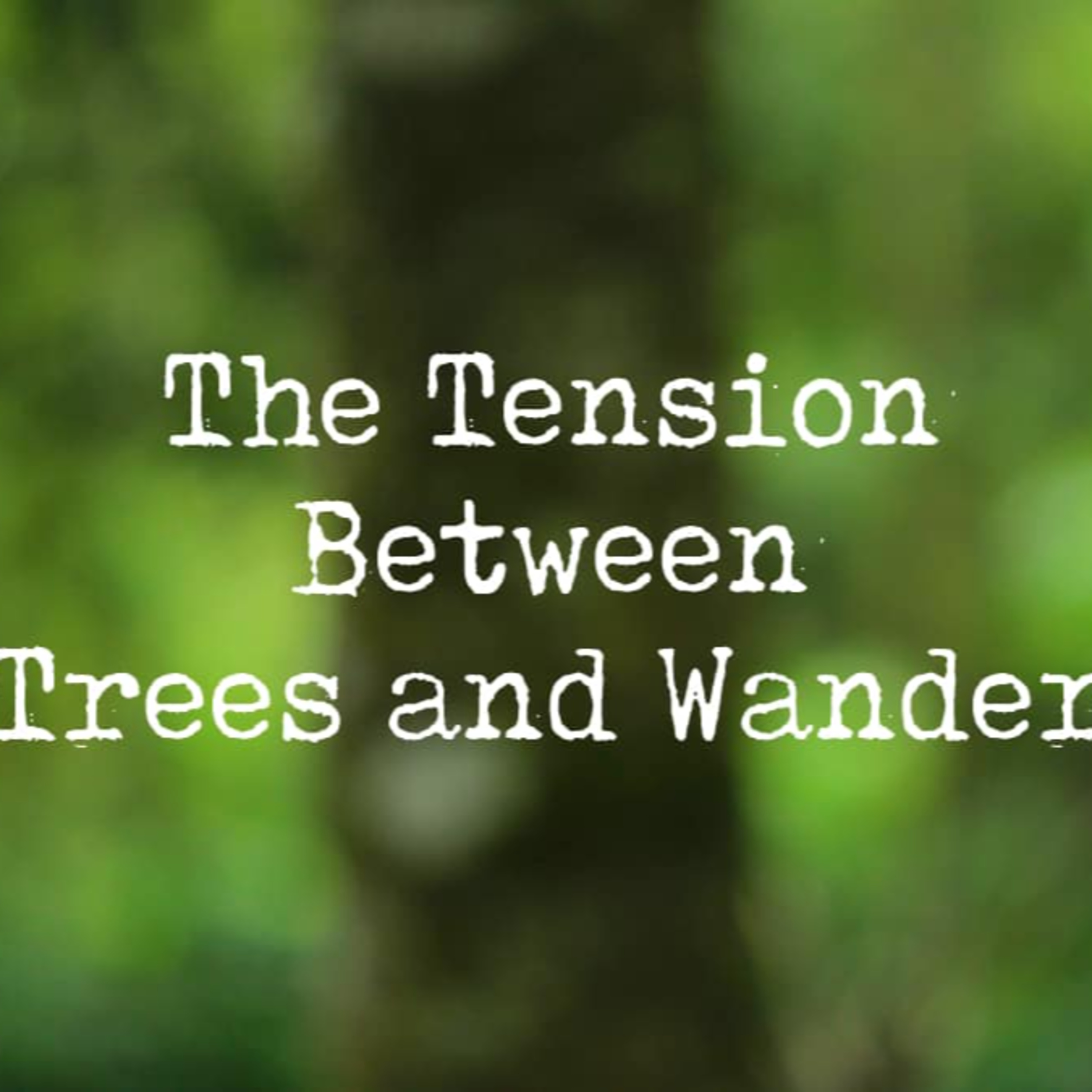 Bristol Hope Assembly