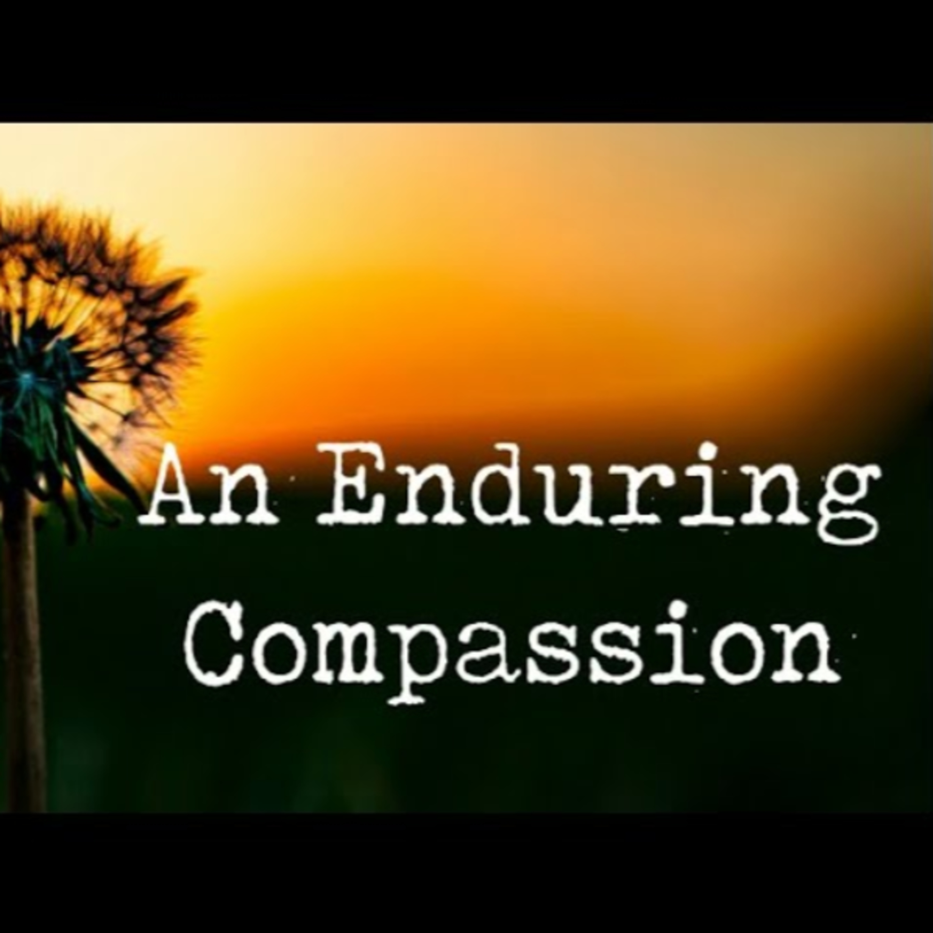 Sunday January 12th - An Enduring Compassion episode artwork