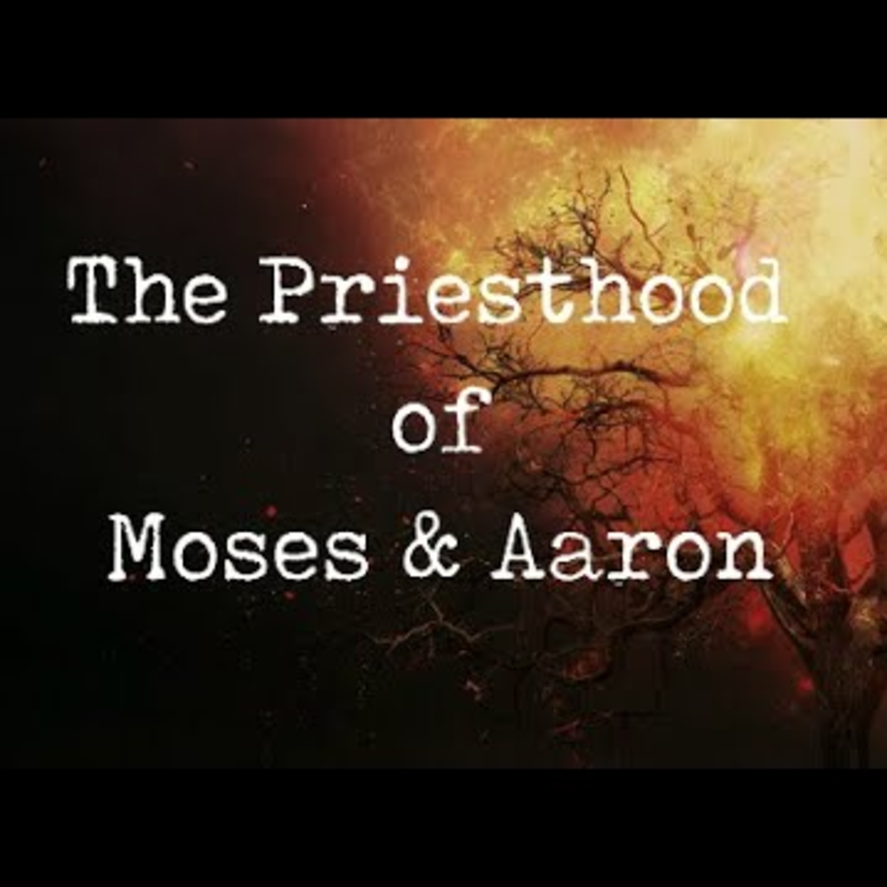 Sunday May 25th - The Priesthood of Moses and Aaron episode artwork
