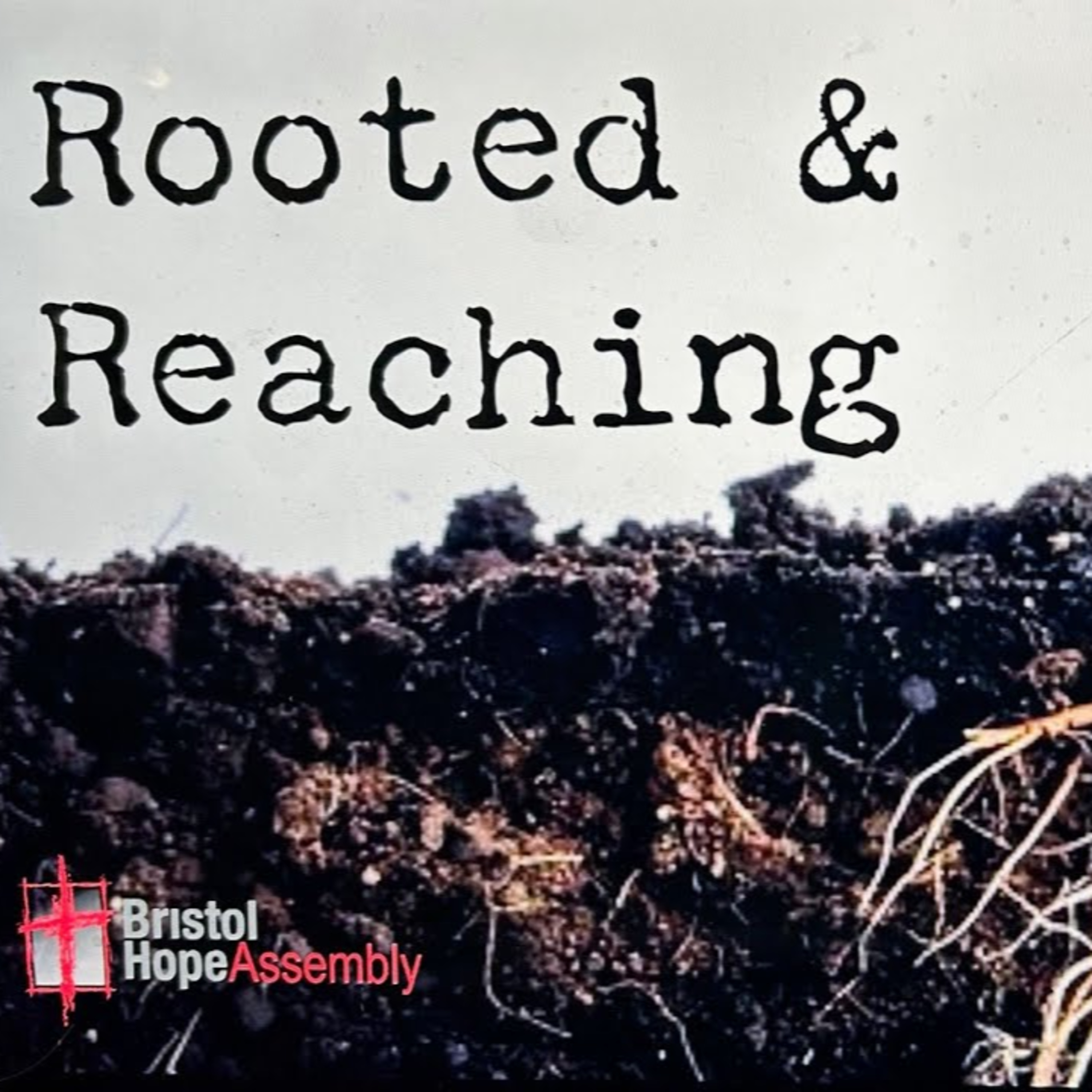 Sunday November 16th - Rooted and Reaching episode artwork