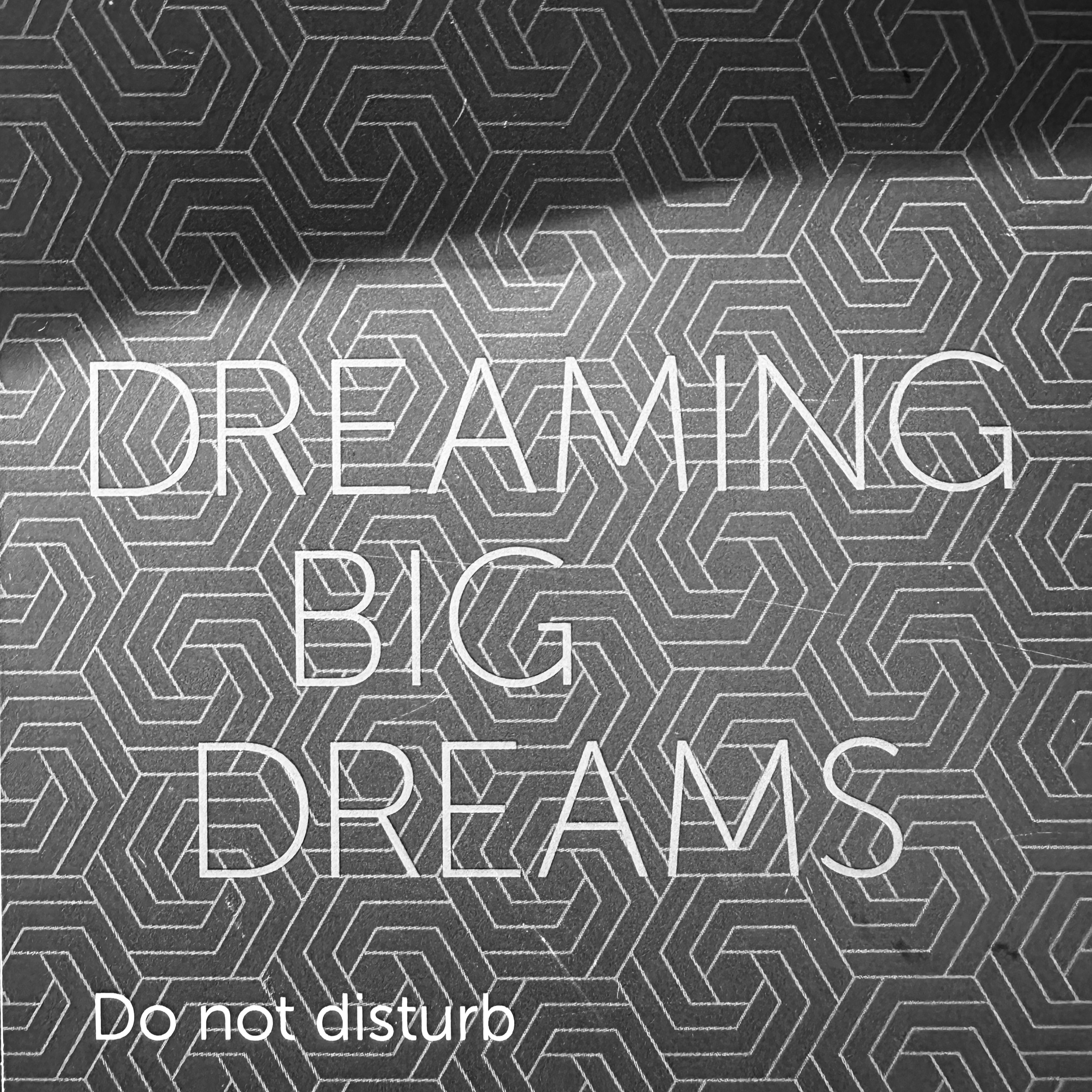 Dare to Daydream