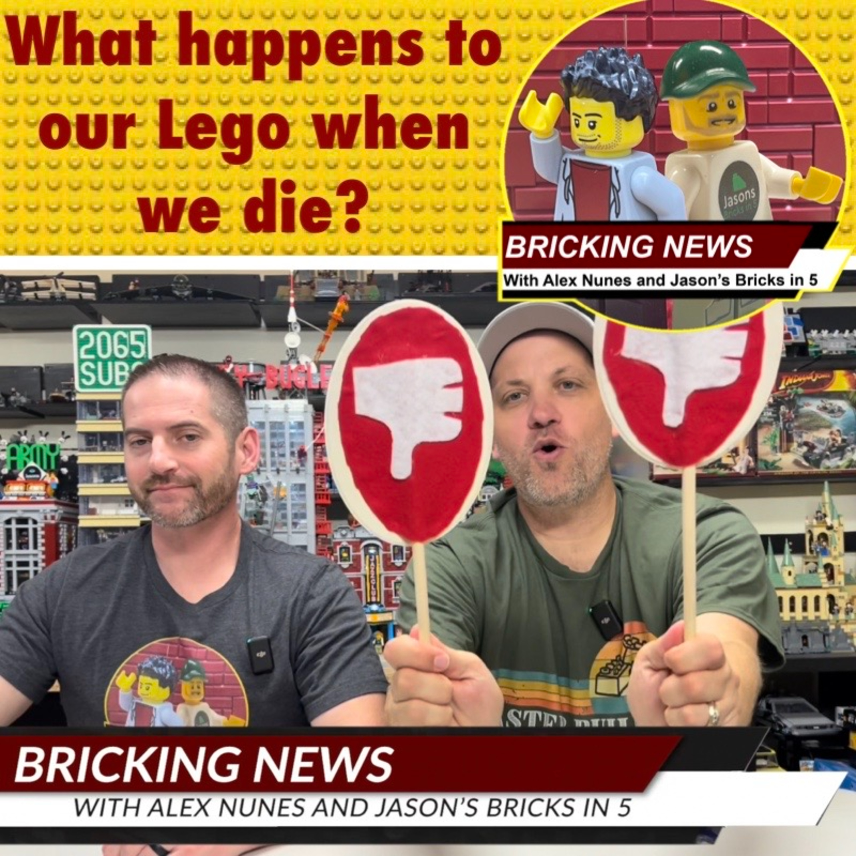 What happens to our Lego when we die? episode artwork