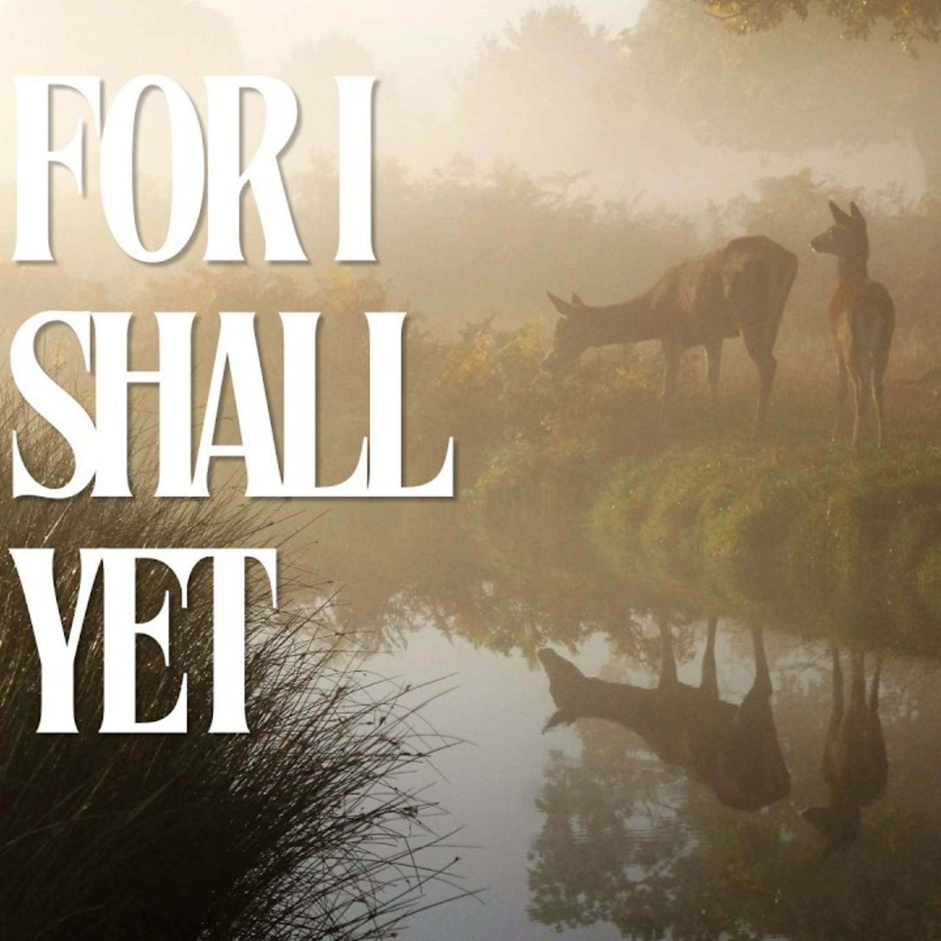 For I Shall Yet | Rev. Aaron Bryan  episode artwork