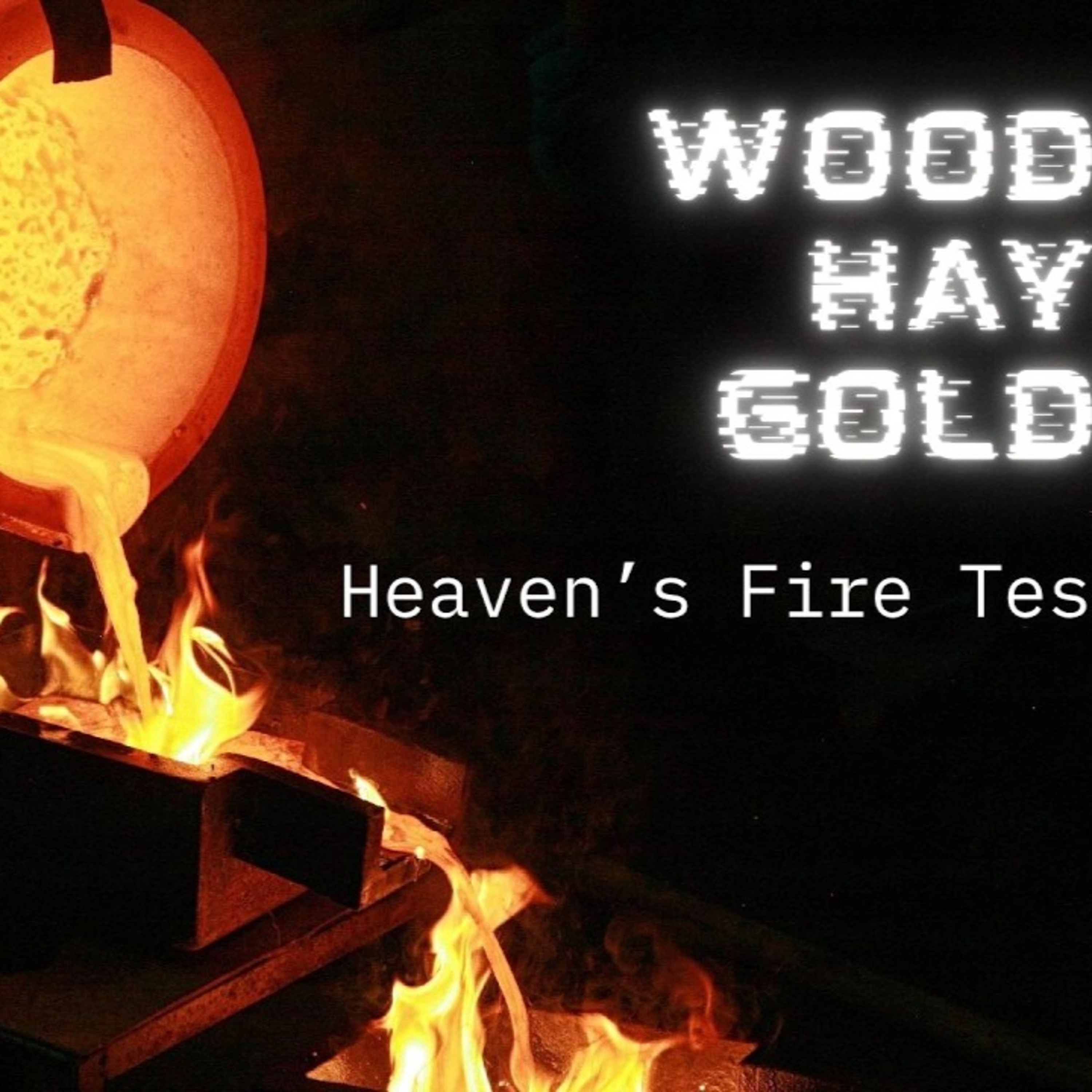 Wood, Hay, or Gold ? | Bishop John Downs  episode artwork