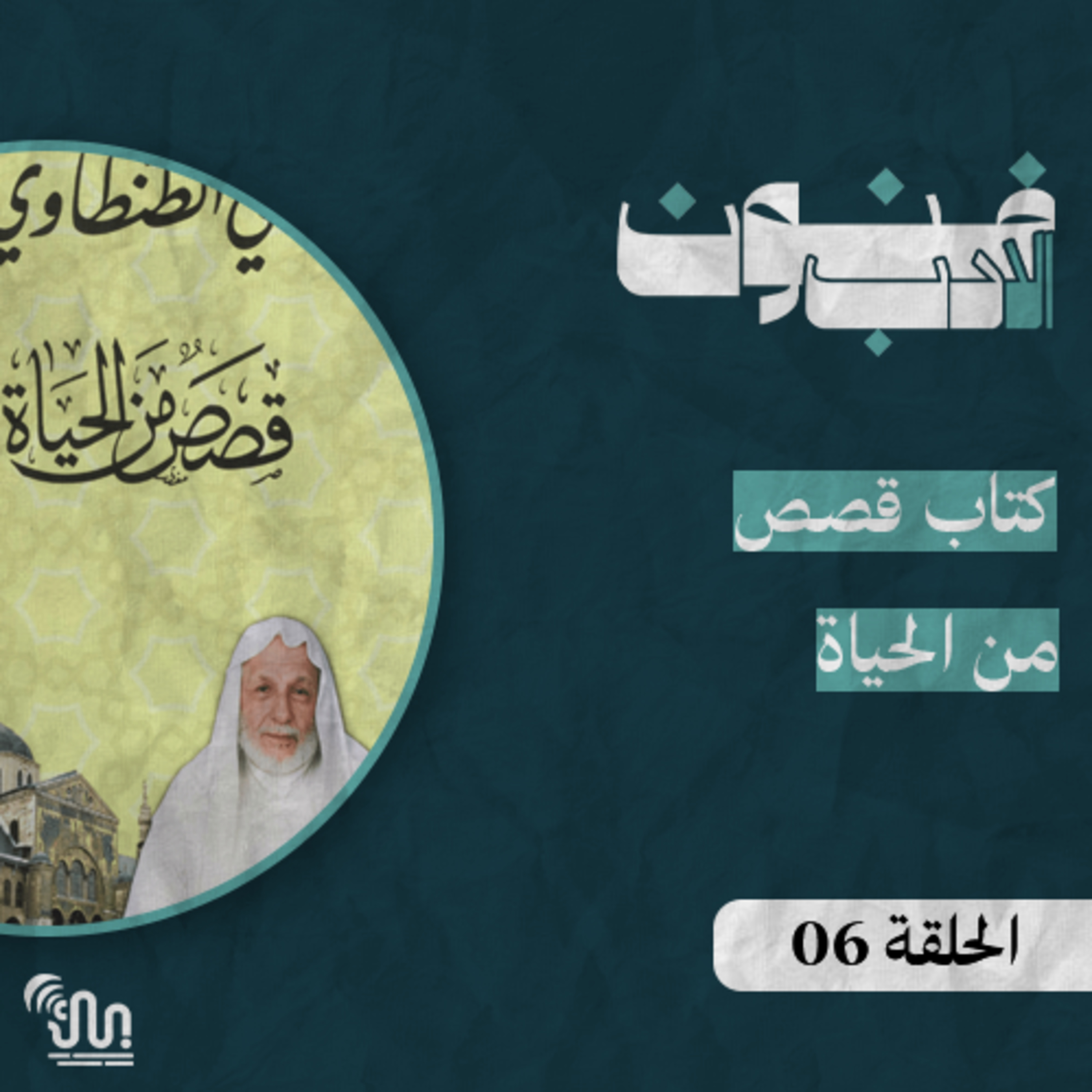 برنامج #فنون_الادب - الحلقة 06 - قصص من الحياة episode artwork