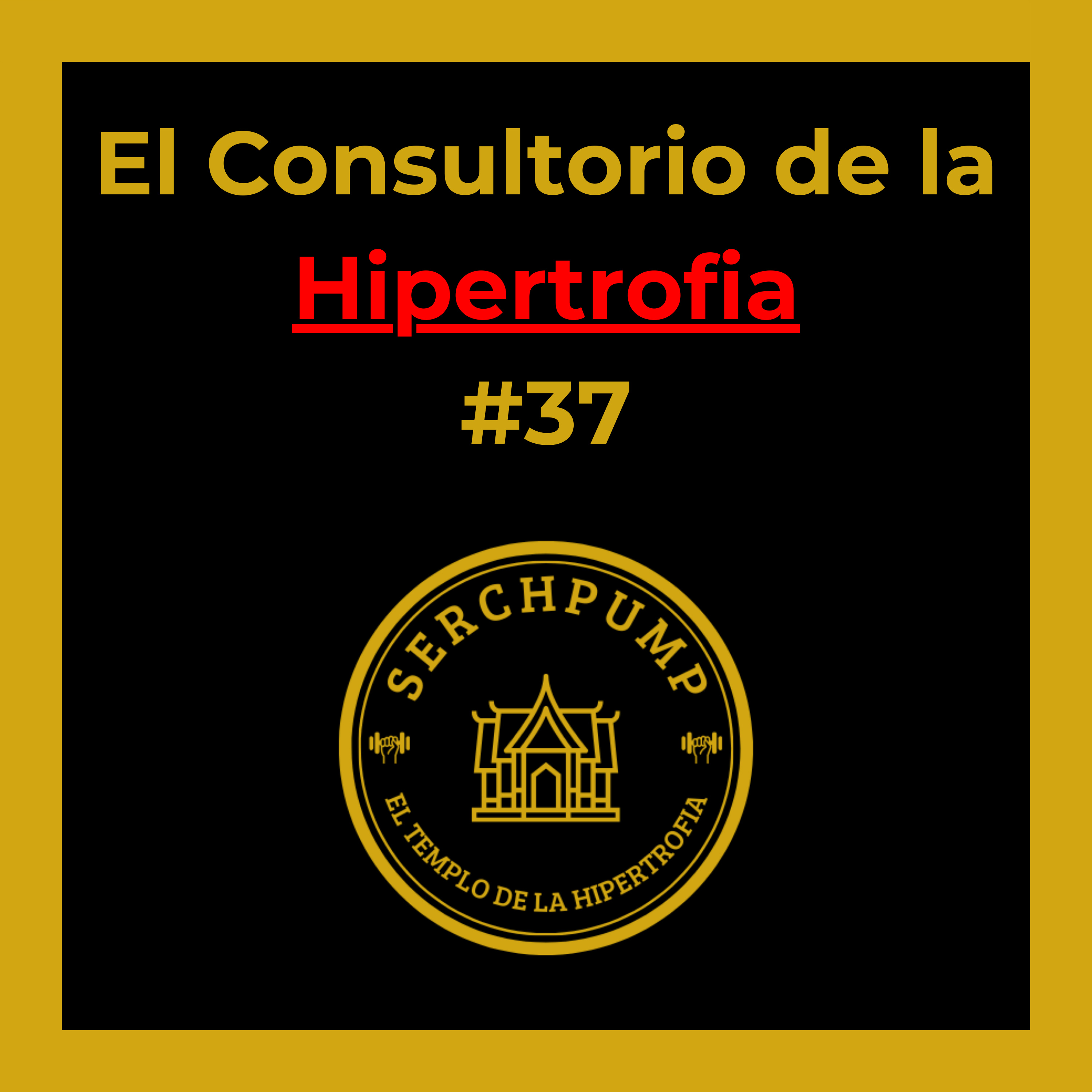 VOLUMEN de entrenamiento para PRINCIPIANTES - RECUPERACIÓN y DESCARGA de entrenamiento | #37