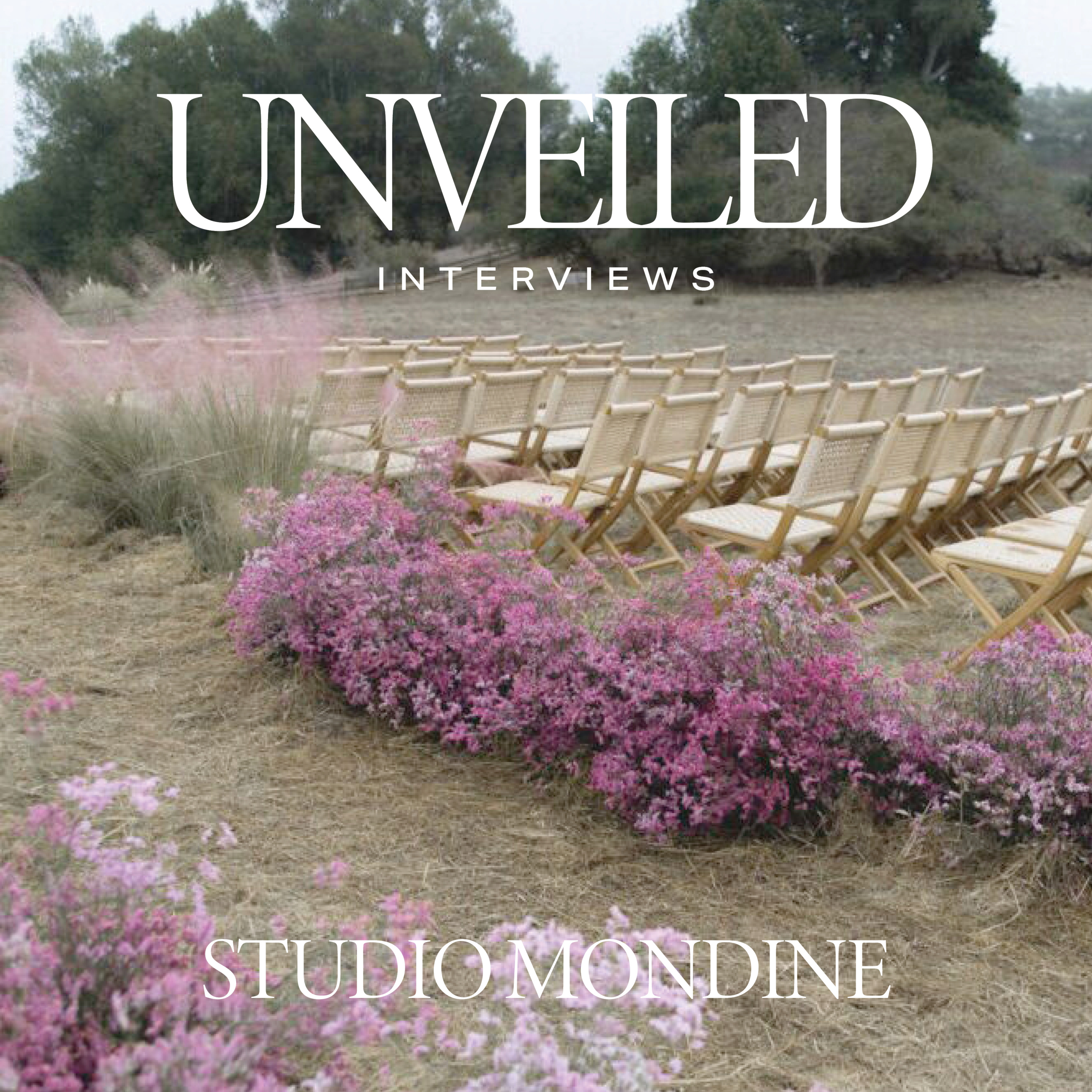 Unveiled Interviews