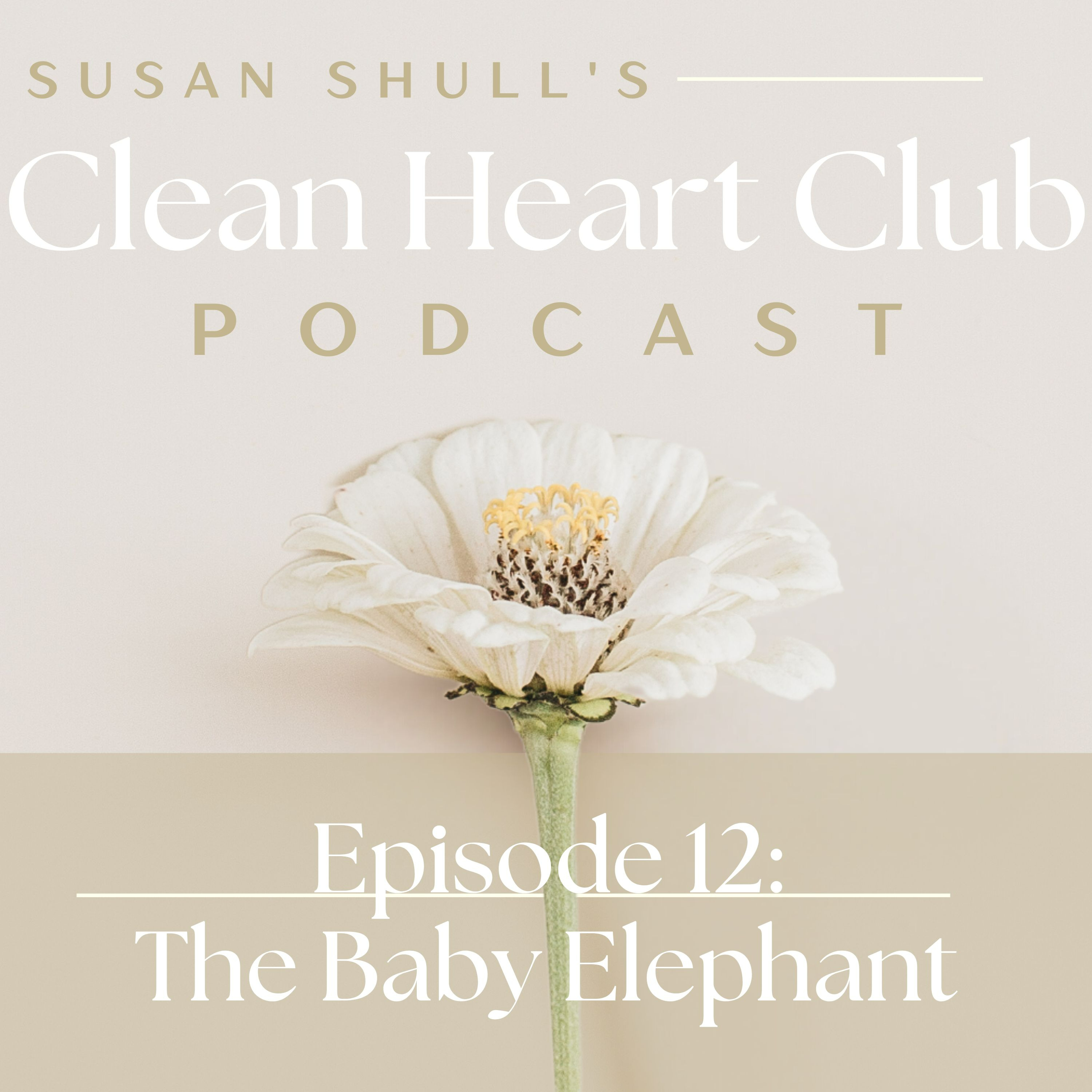 Clean Heart Club