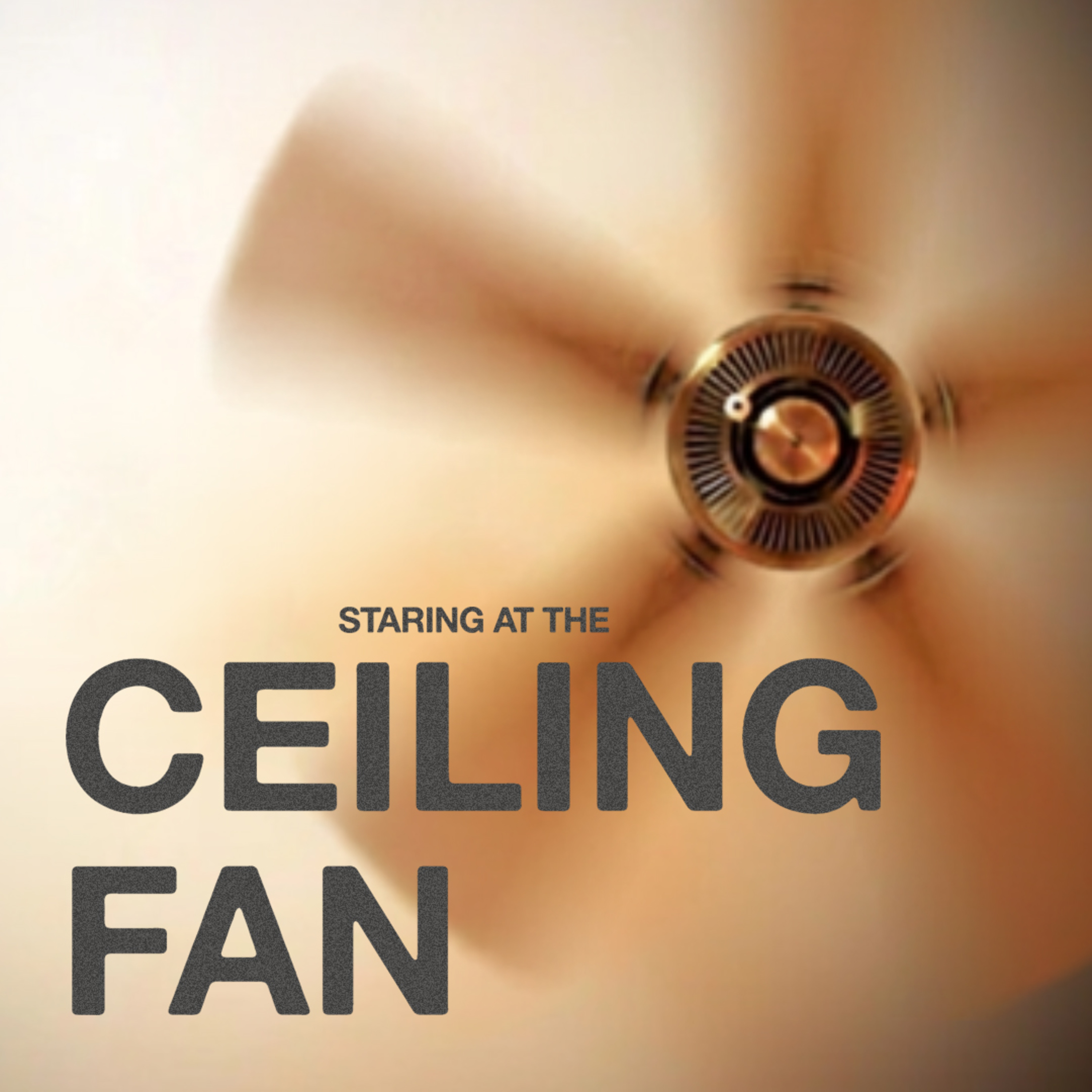 Staring At The Ceiling Fan episode artwork