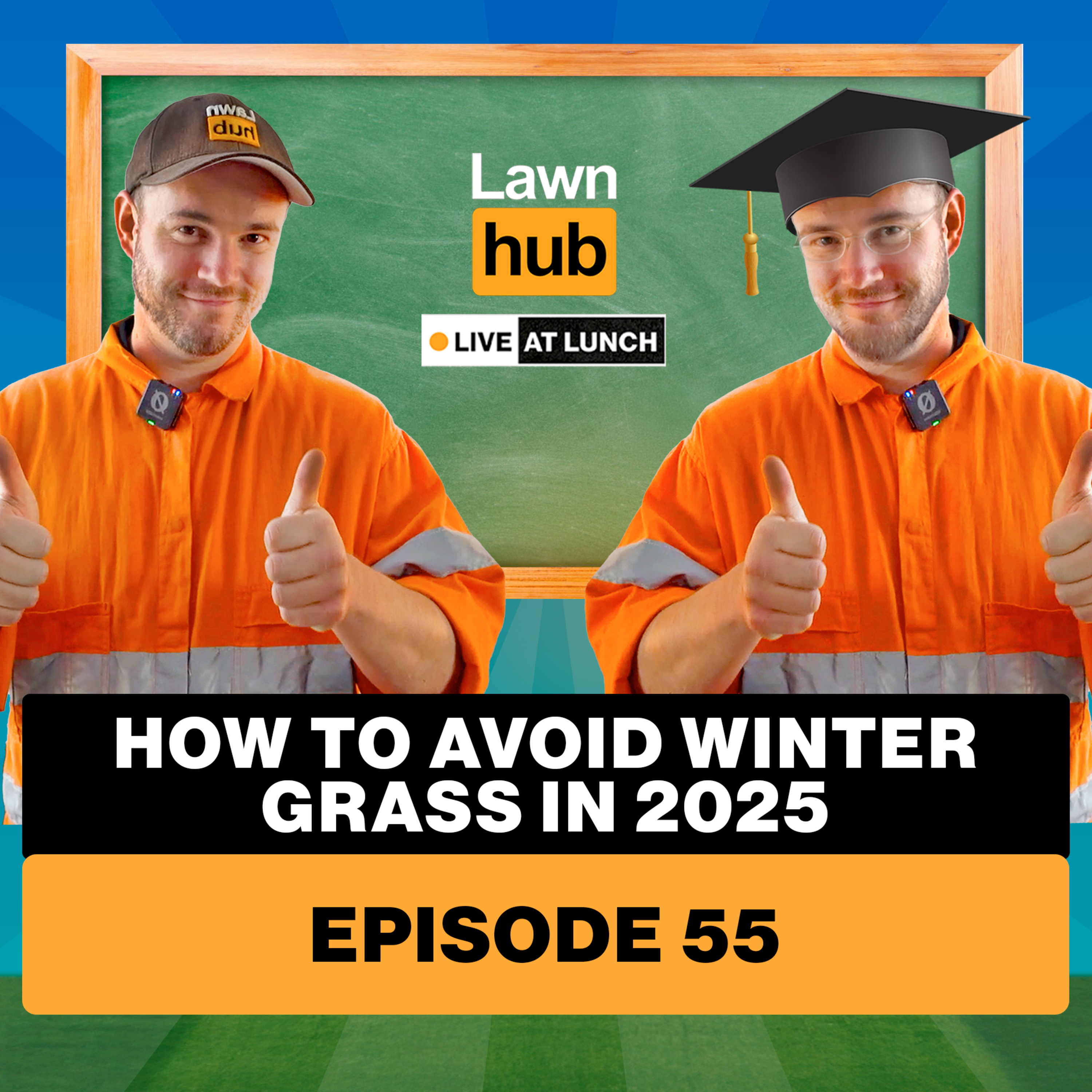Lawnhub Live at Lunch