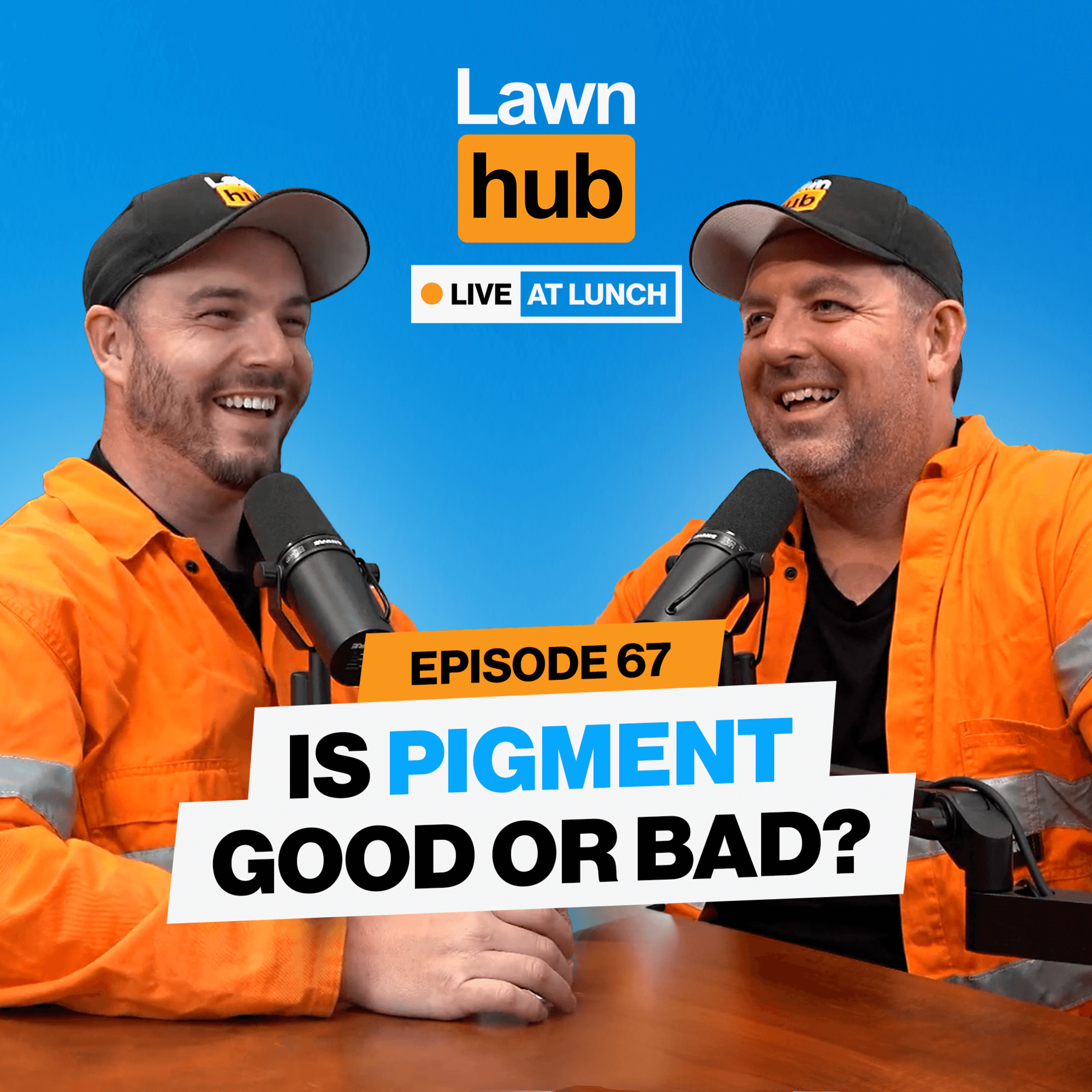 Lawnhub Live at Lunch