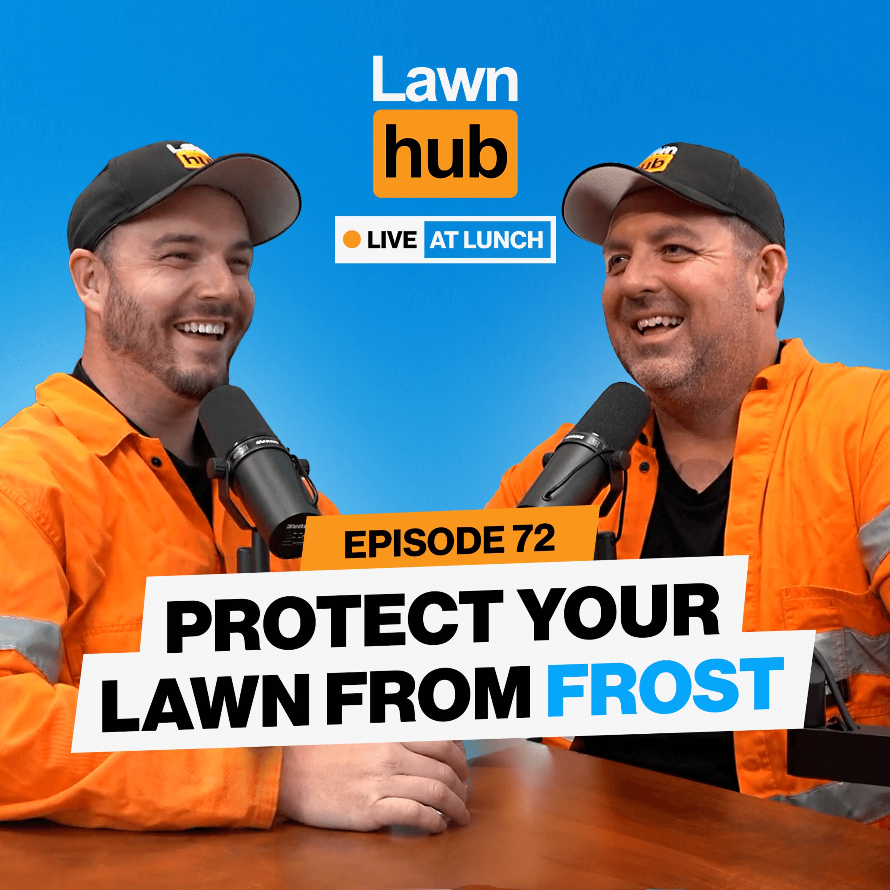Lawnhub Live at Lunch
