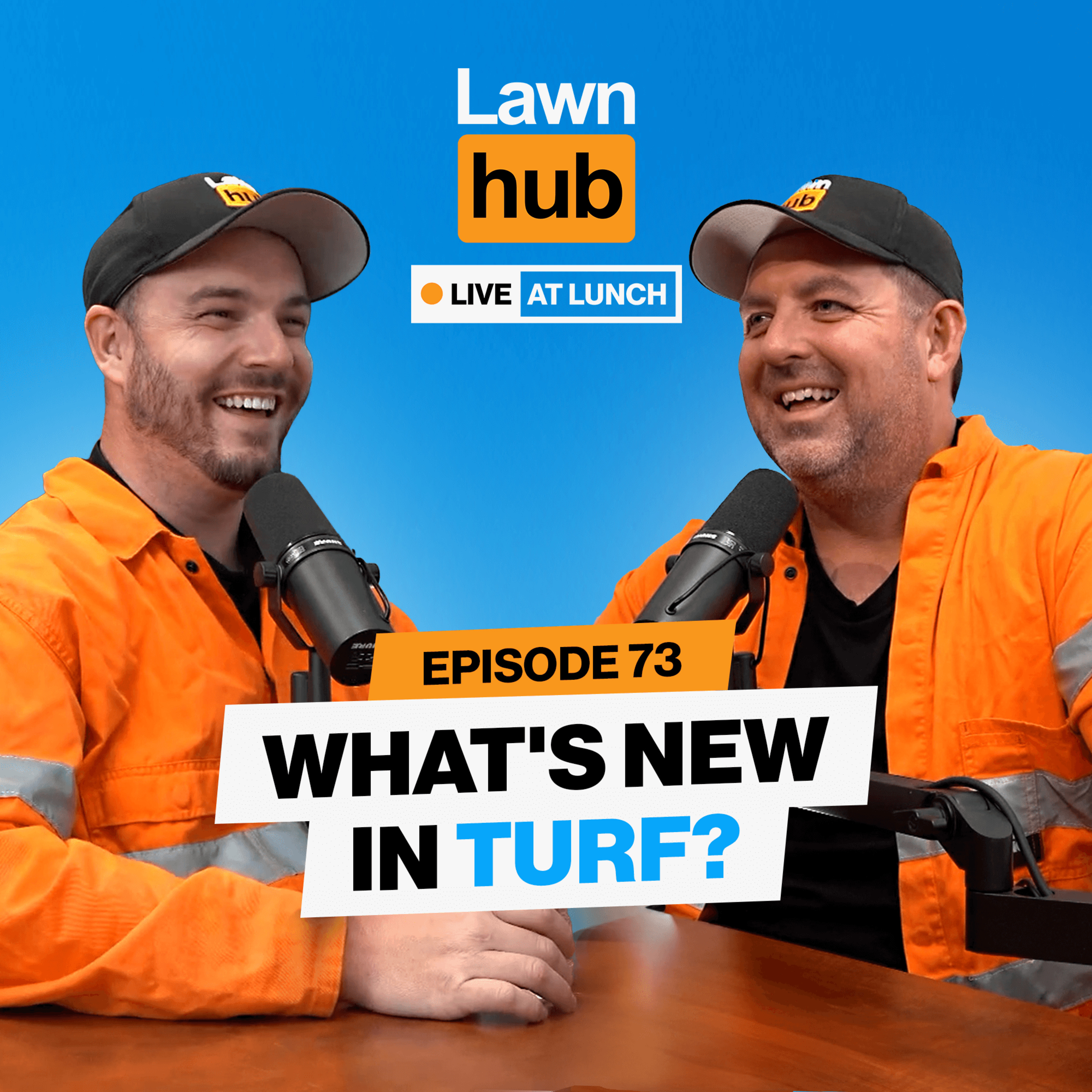 Lawnhub Live at Lunch