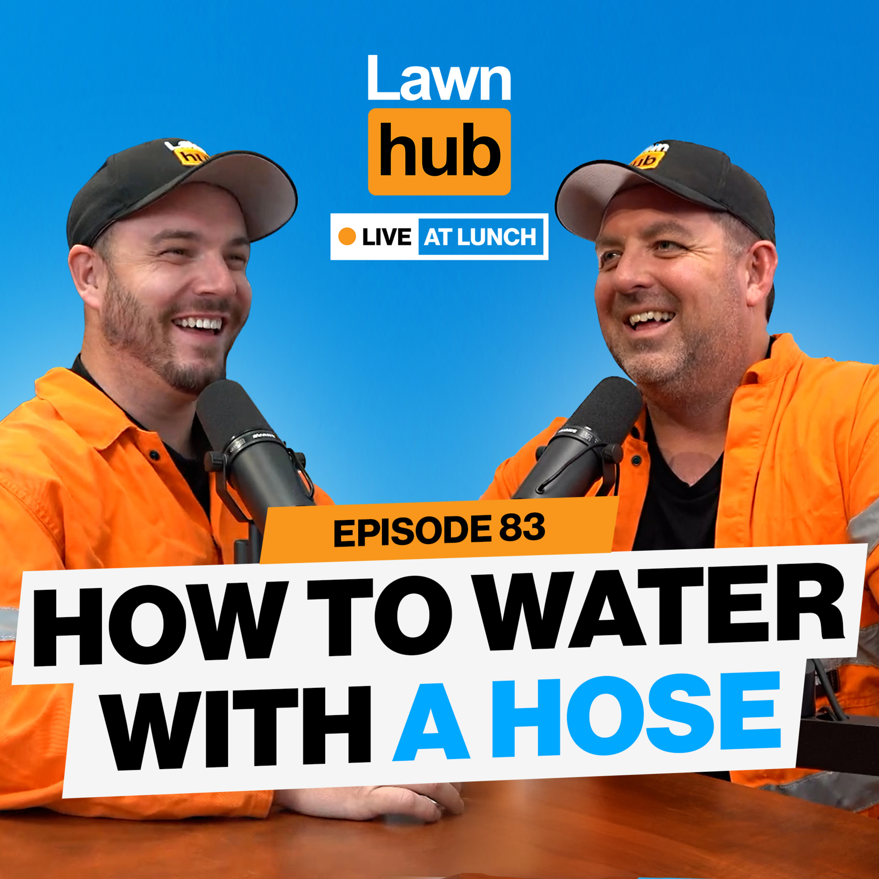 Lawnhub Live at Lunch