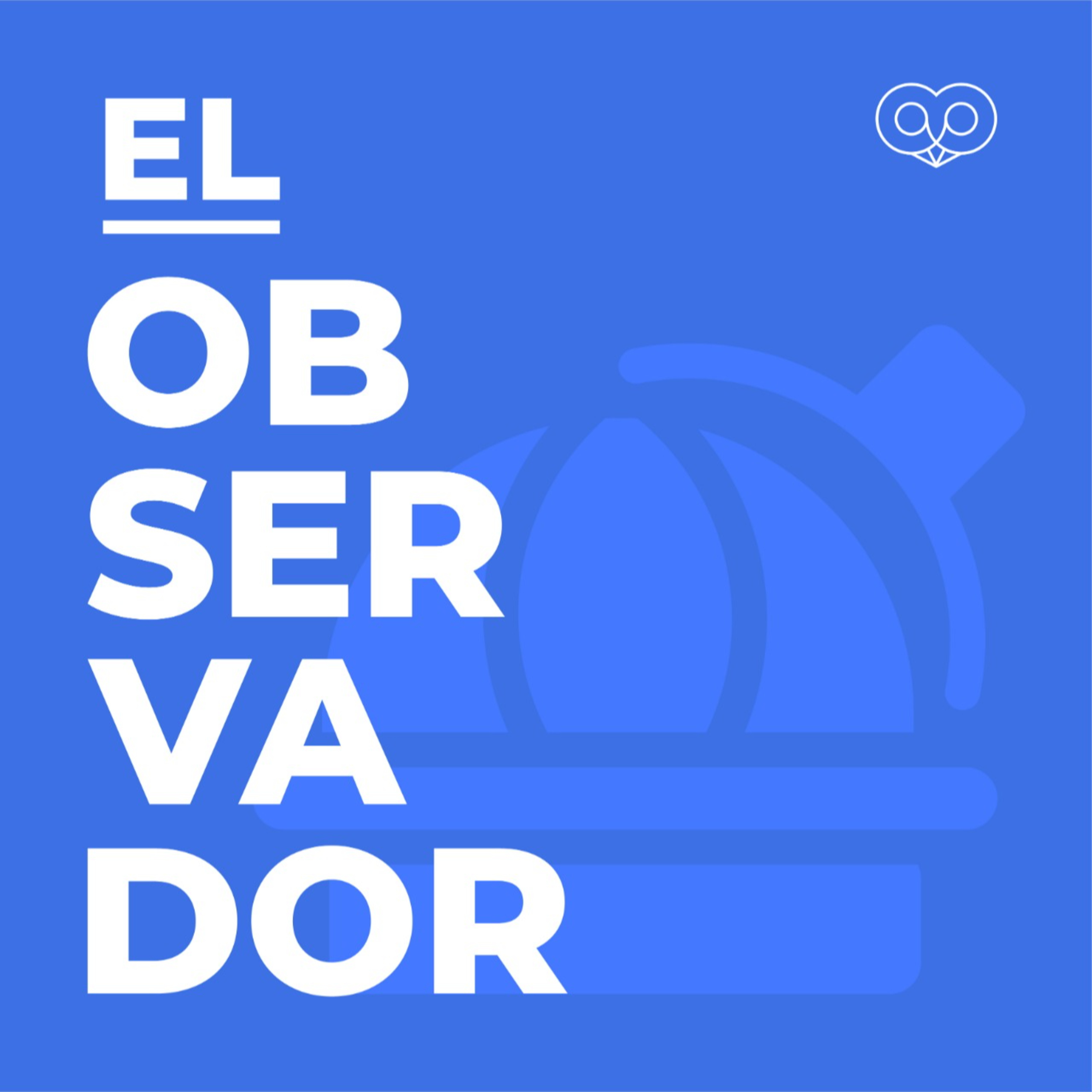 El Observador 14: Entrevista a Hernán Larraín por informe Recurso de protección como instrumento de activismo judicial episode artwork