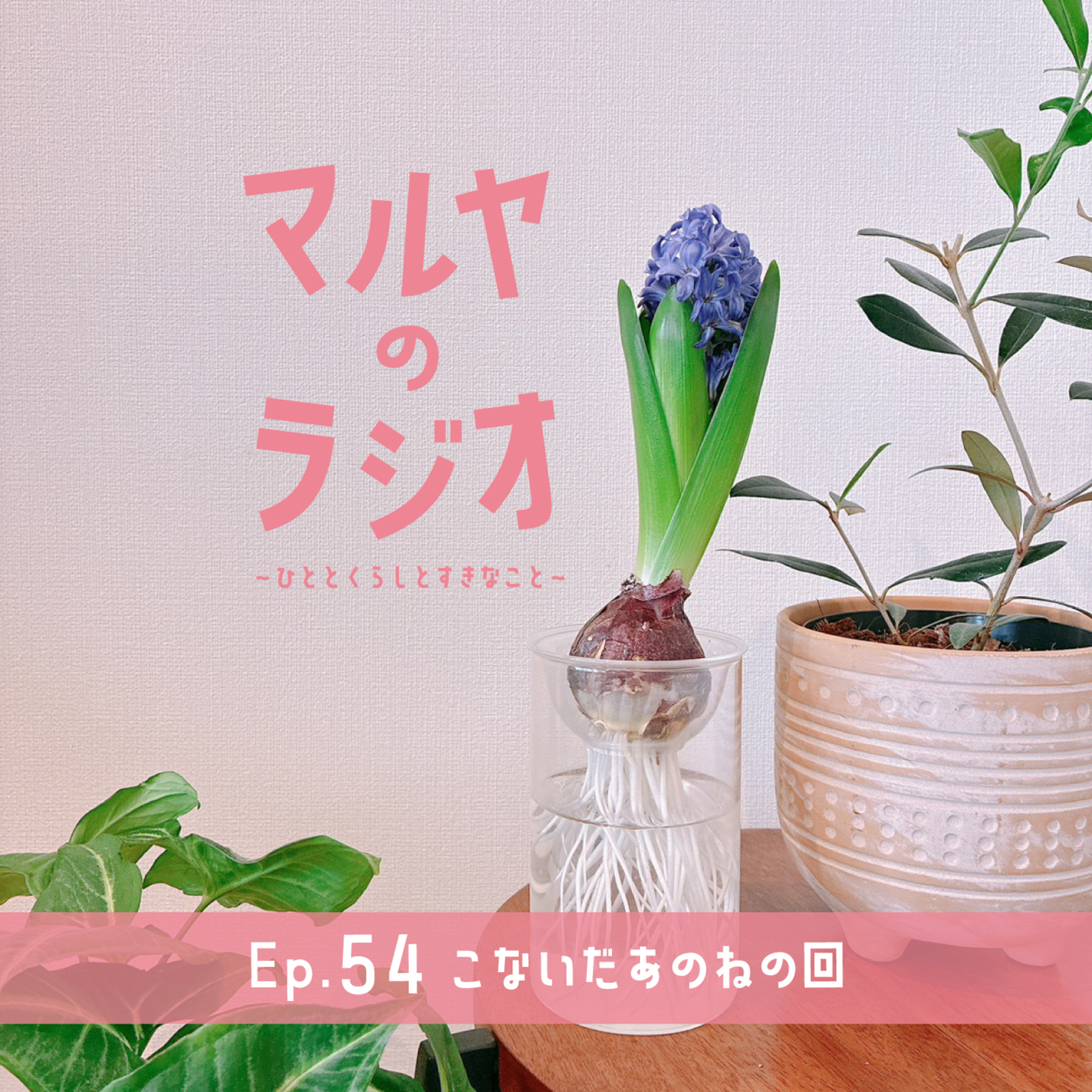 Ep.54_こないだあのねの回 episode artwork