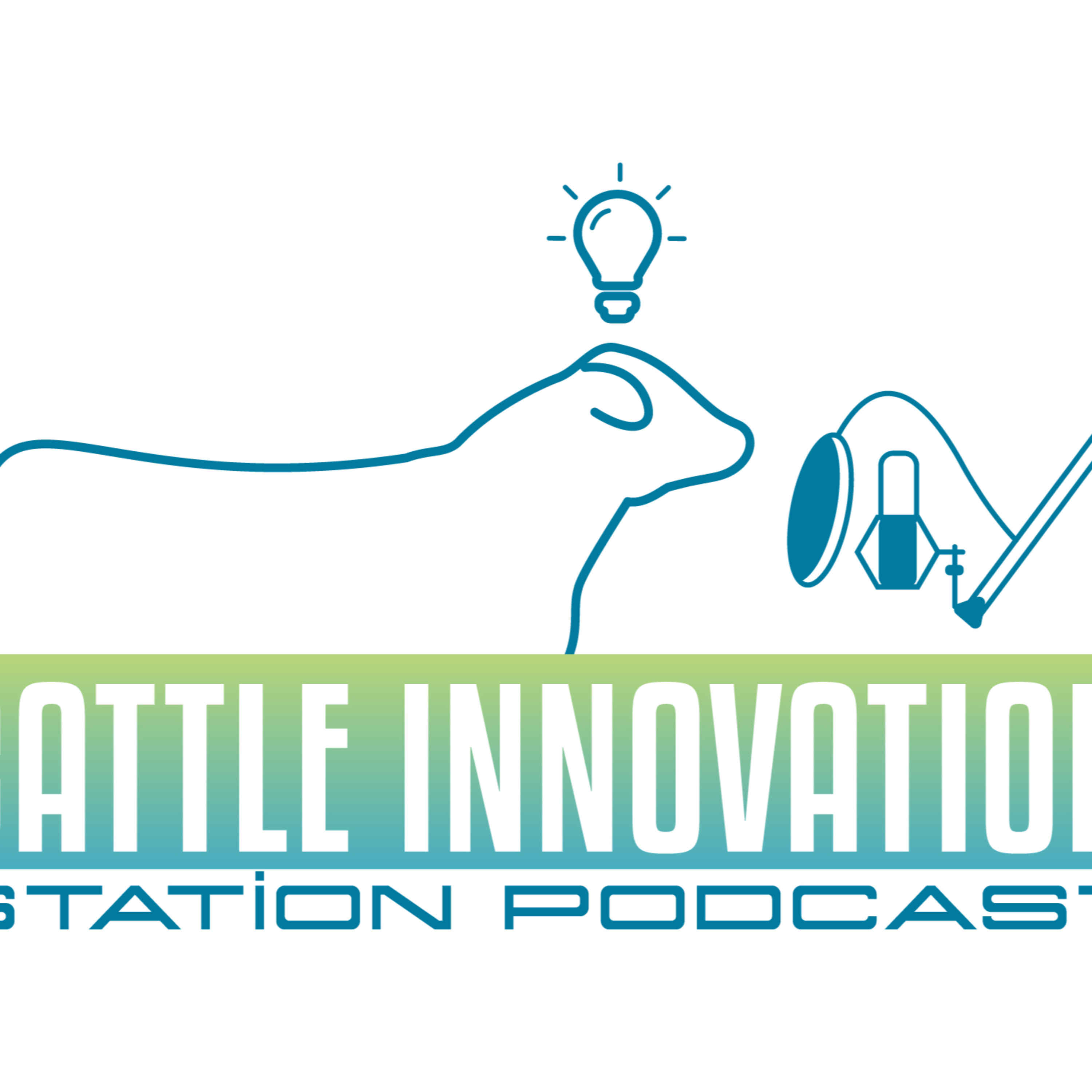 Cattle Innovation Station