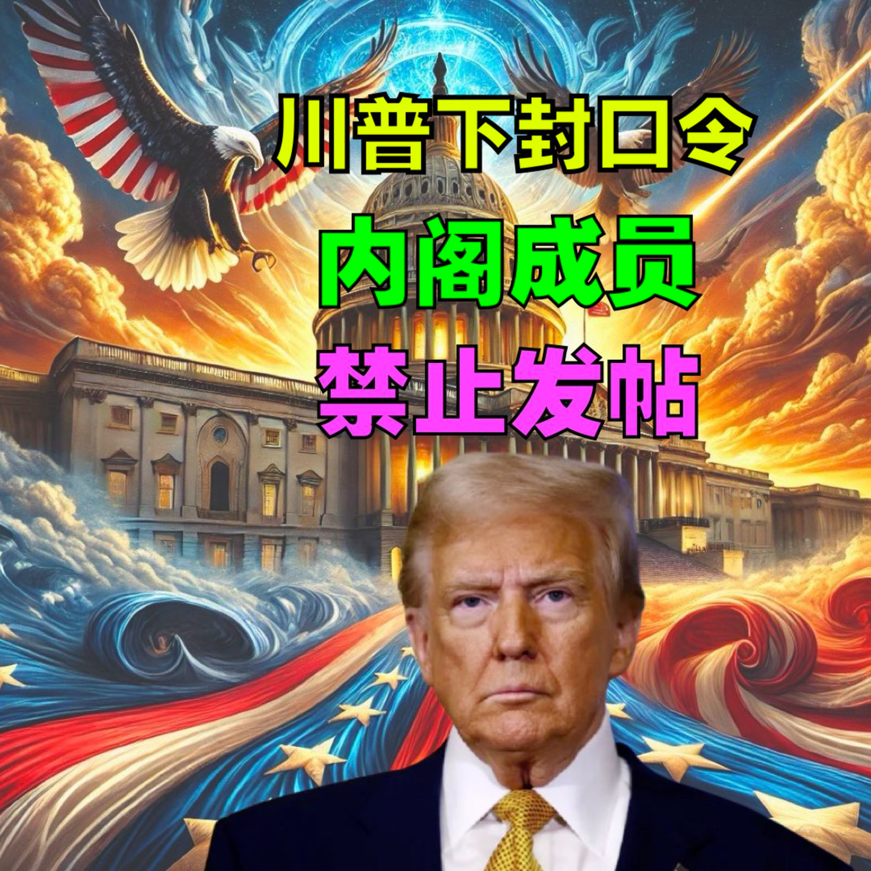 川普向内阁成员下封口令：不要在社交媒体上发帖 episode artwork