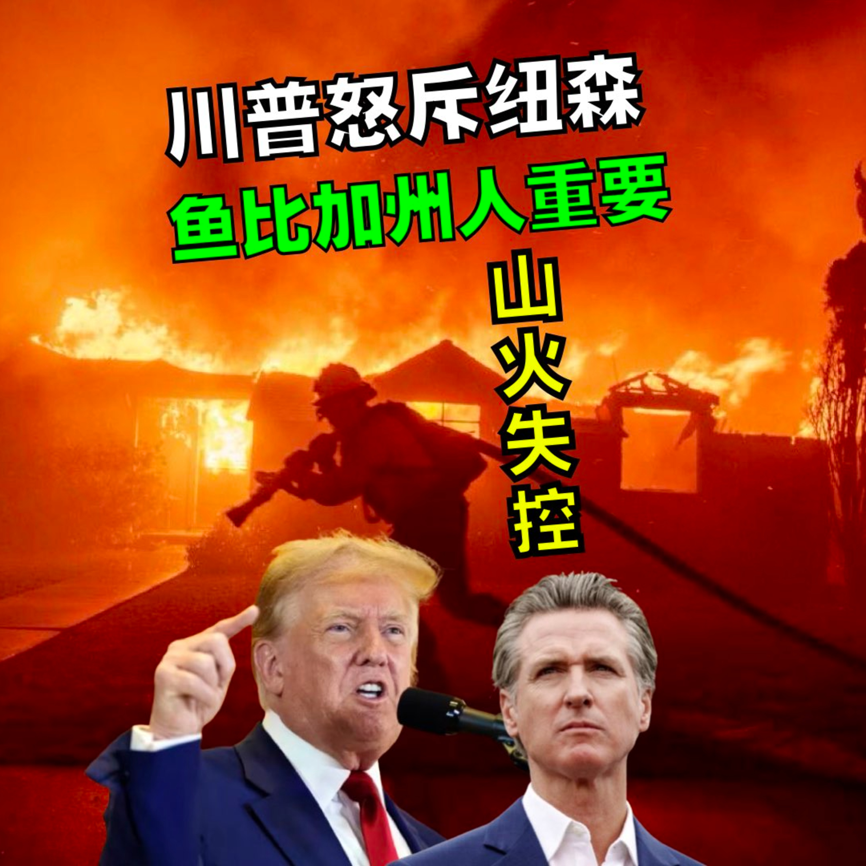  加州山火失控，川普怒斥纽森：鱼比人重要 你是罪魁祸首！ episode artwork